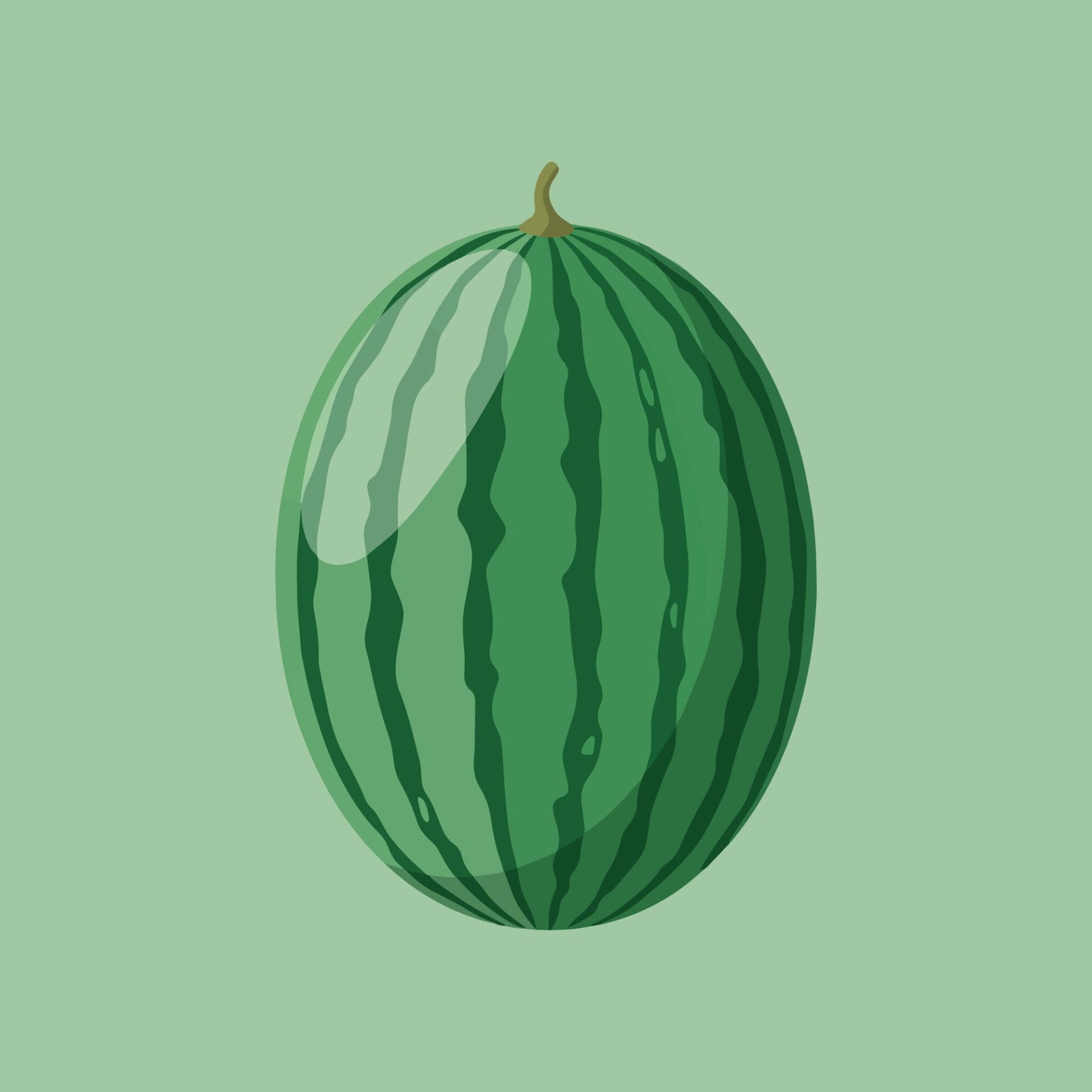 fresh-whole-watermelon-vector-illustration-on-green-background