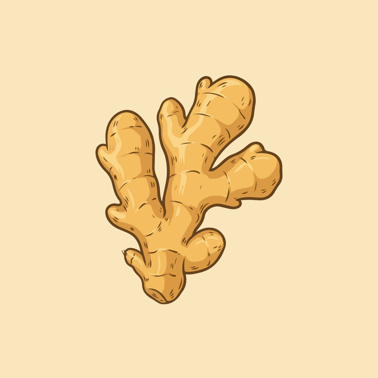 ginger-root-clipart-spices-and-herbs-vector-graphic