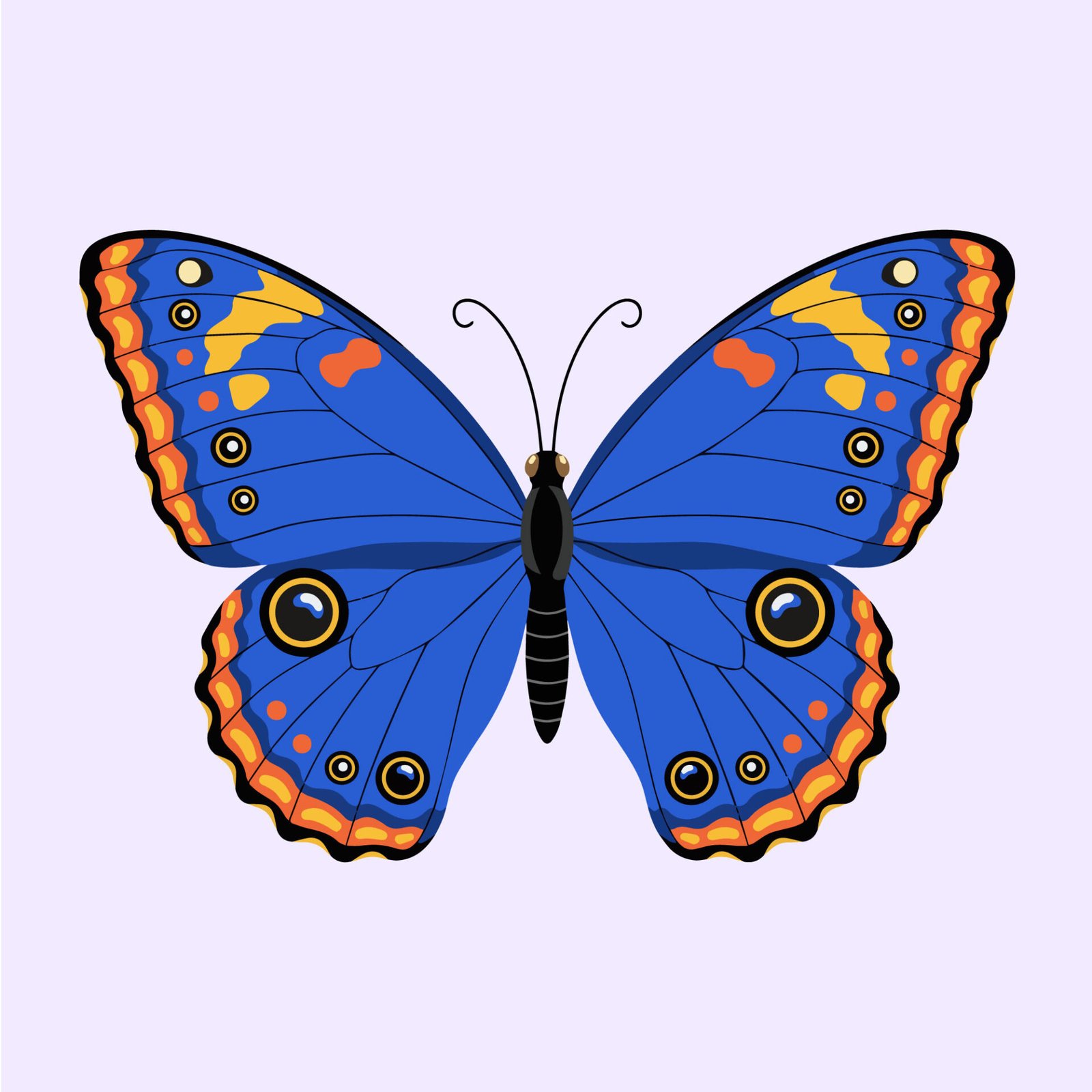 cottagecore-aesthetic-blue-peacock-butterfly-graphic-for-t-shirt-print