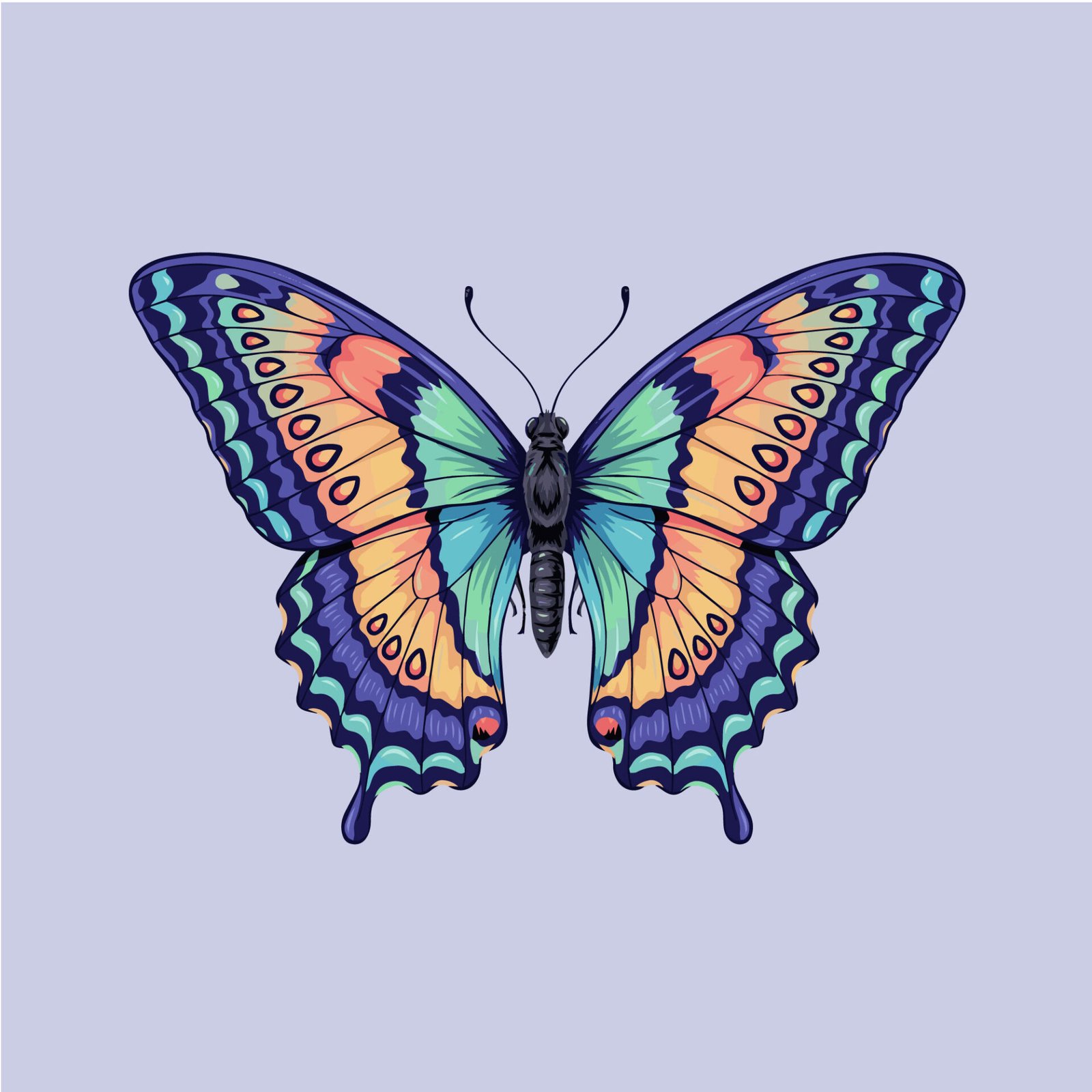 neo-traditional-colorful-butterfly-graphic-for-apparel-and-poster-design