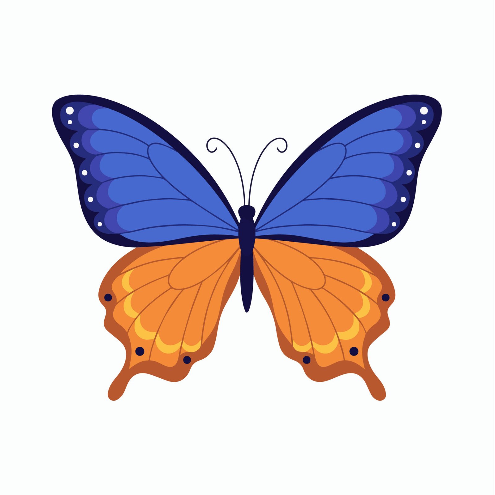 minimalist-blue-and-orange-butterfly-vector-flat-design-insect-clipart