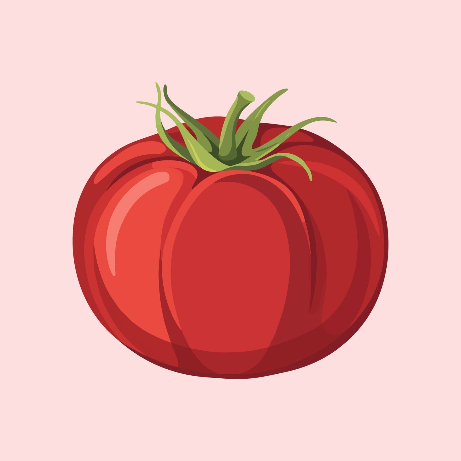 fresh-red-tomato-vector-illustration-isolated
