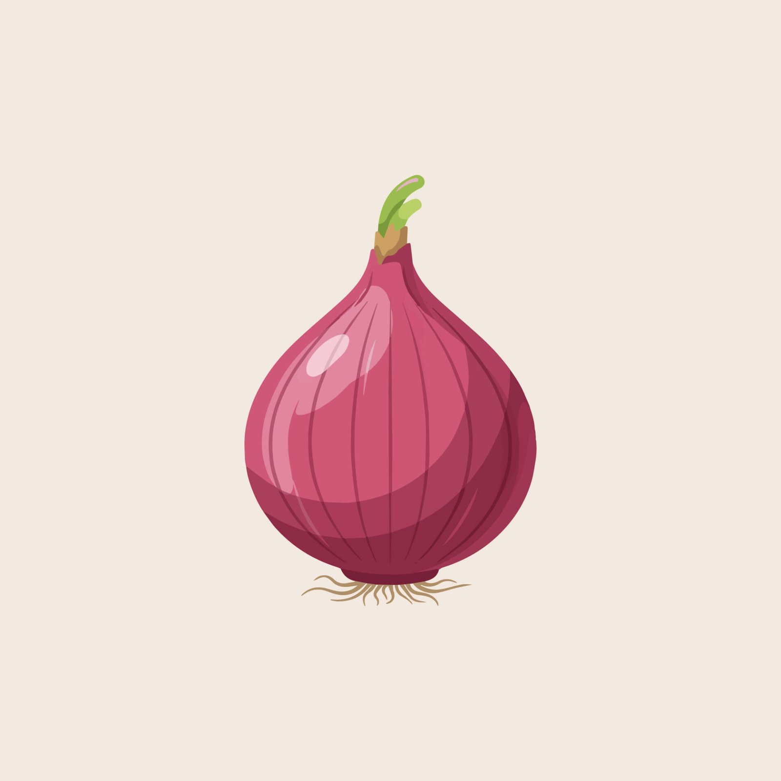 fresh-whole-red-onion-vegetable-vector-illustration