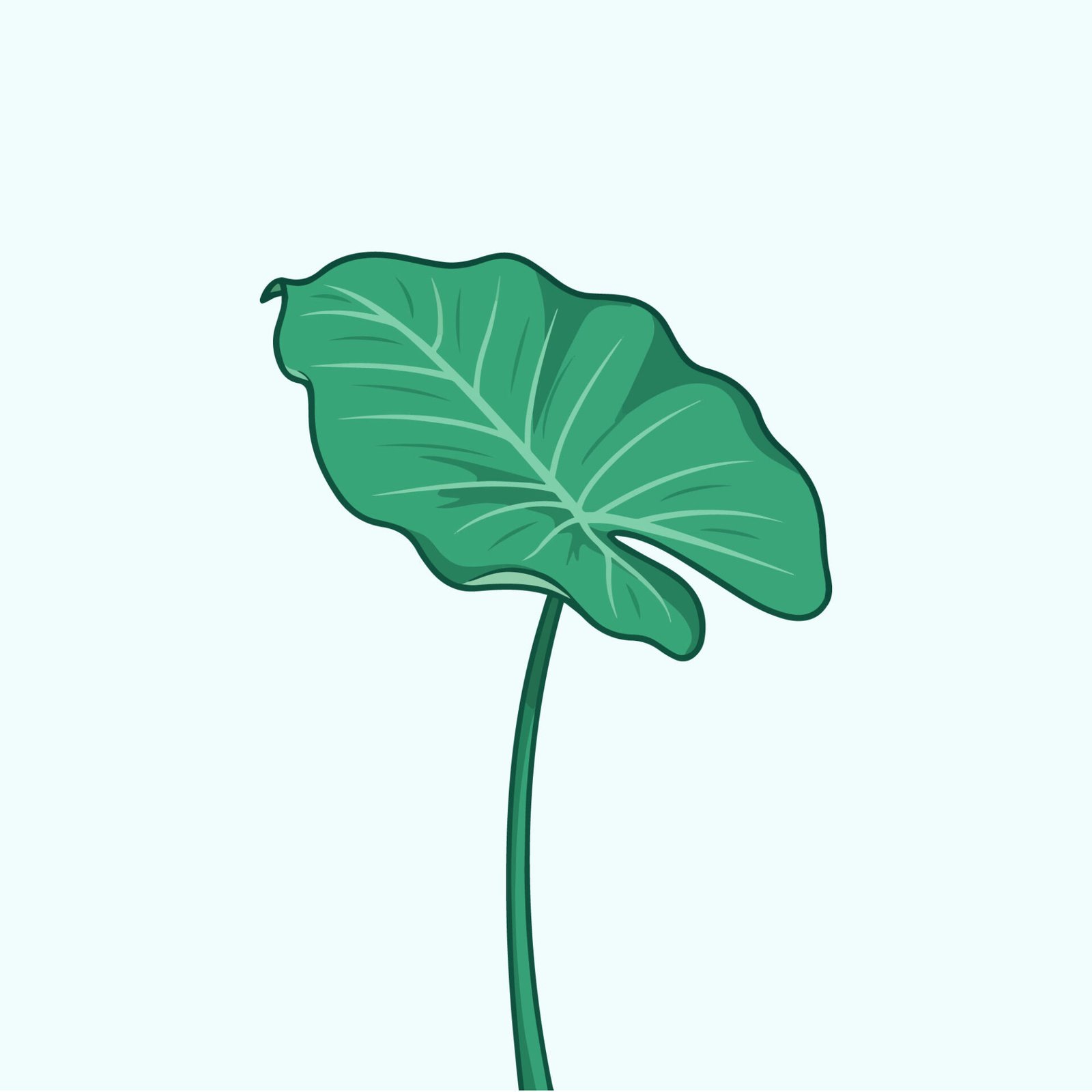 green-taro-leaf-vector-icon