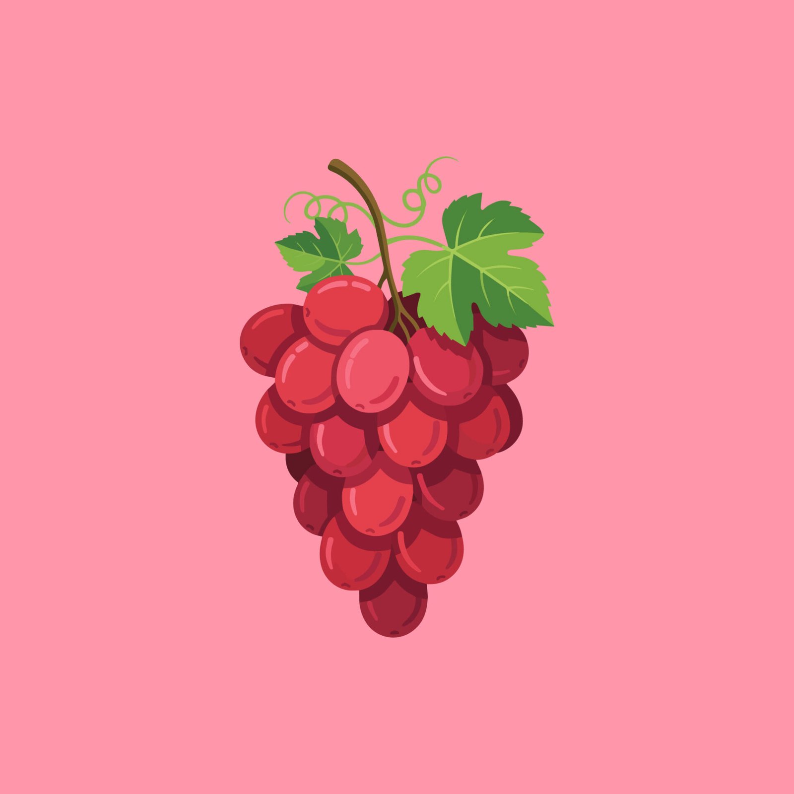 bunch-of-fresh-red-grapes-vector-illustration-isolated