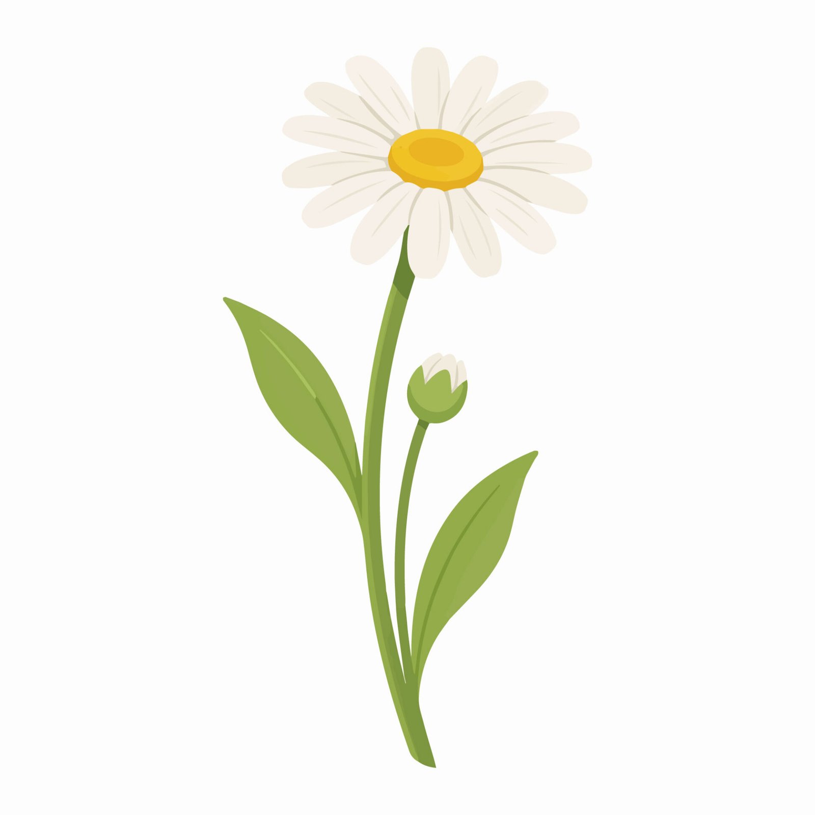 white-daisy-flower-with-stem-vector-illustration