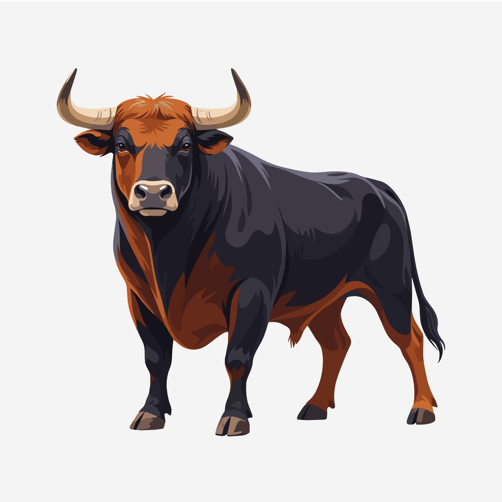 strong-spanish-bull-vector-illustration
