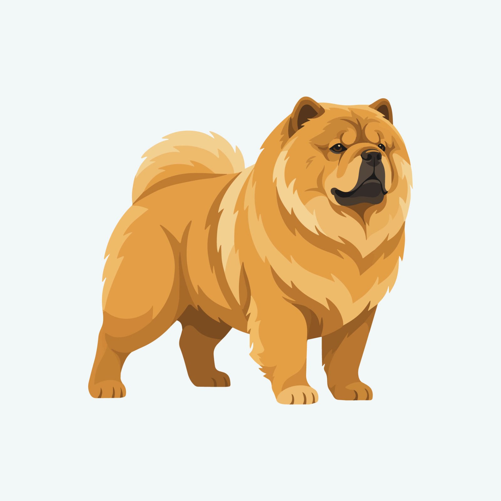 fluffy-chow-chow-dog-vector-illustration