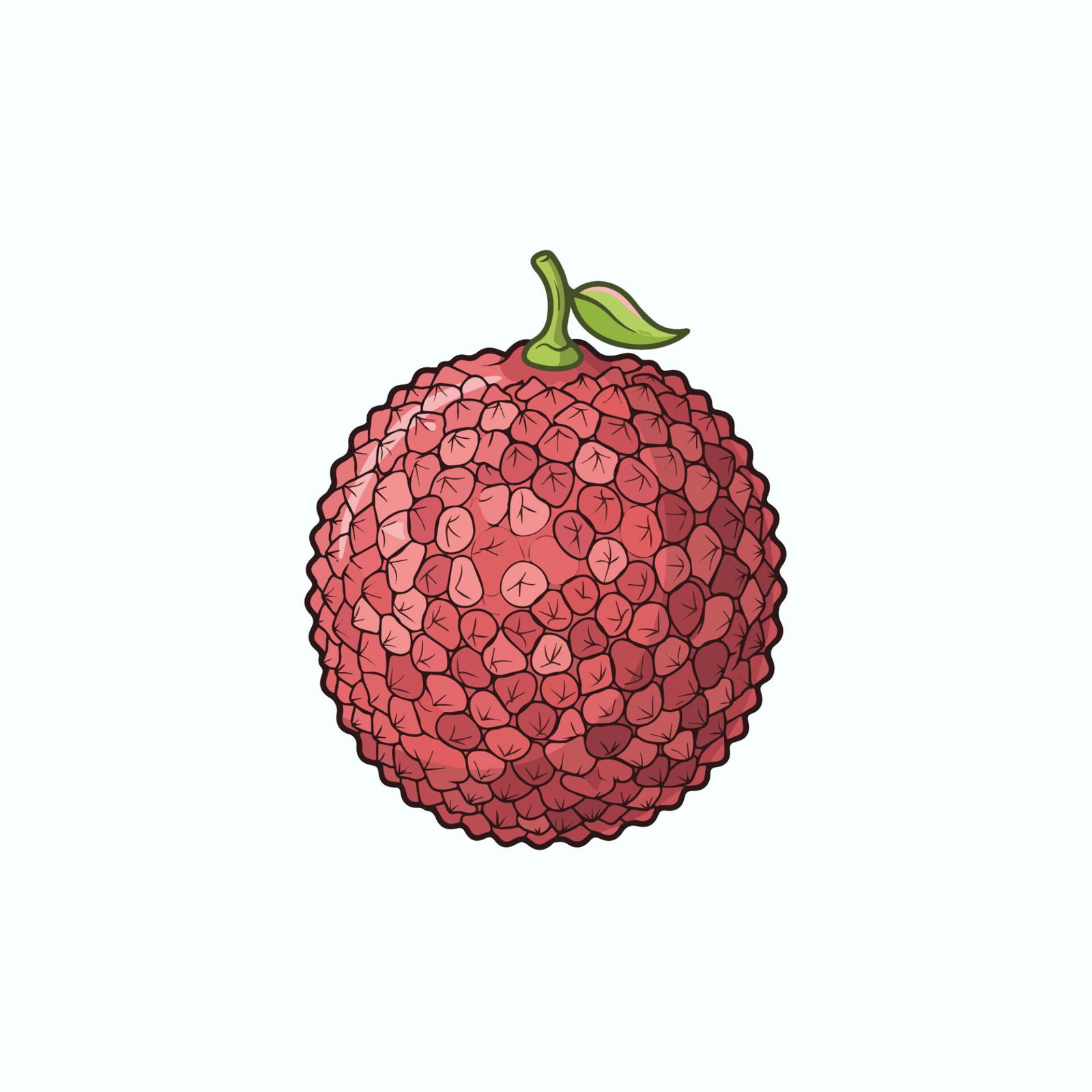 fresh-lychee-fruit-vector-illustration