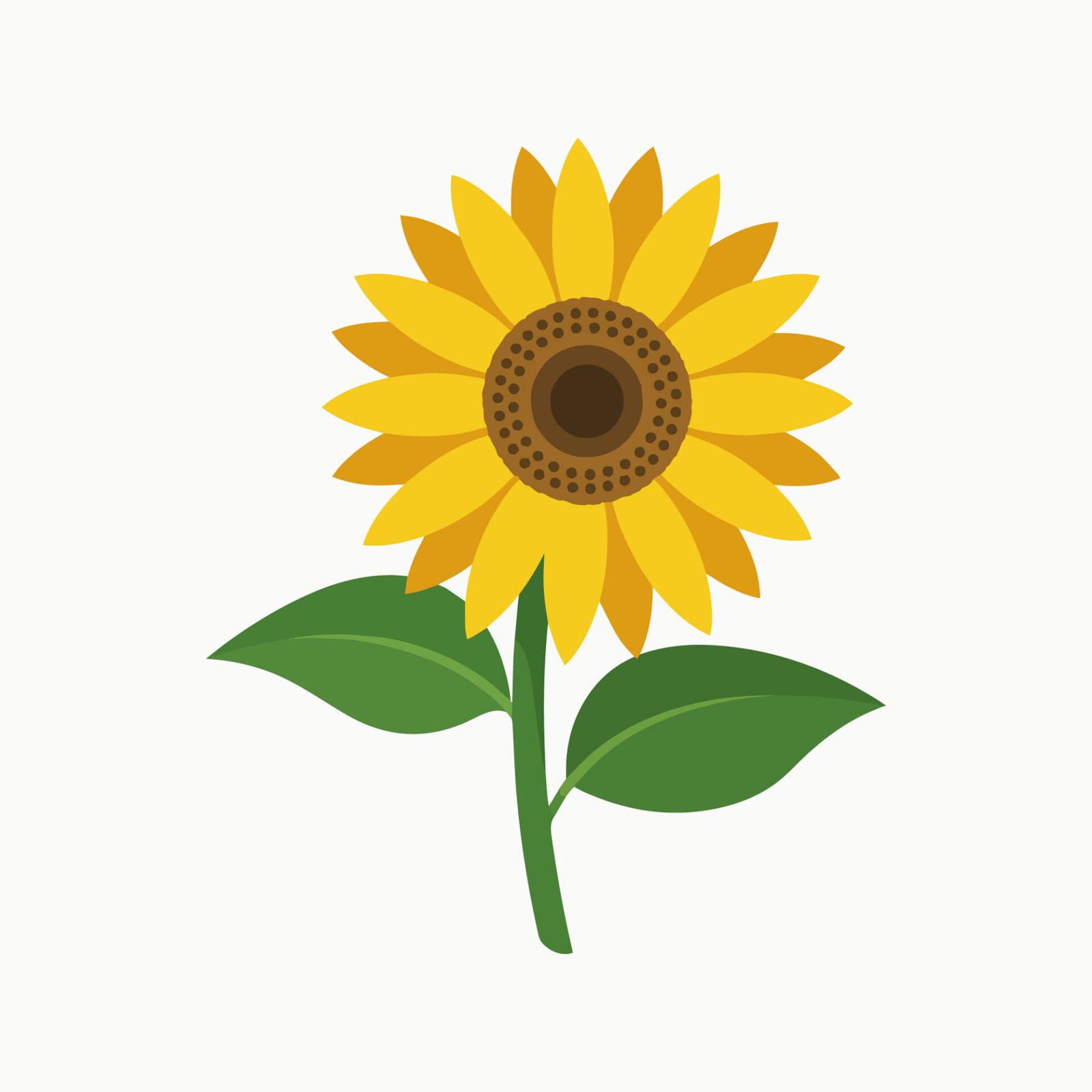 sunflower-with-stem-and-leaves-vector-illustration-isolated-on-white-background