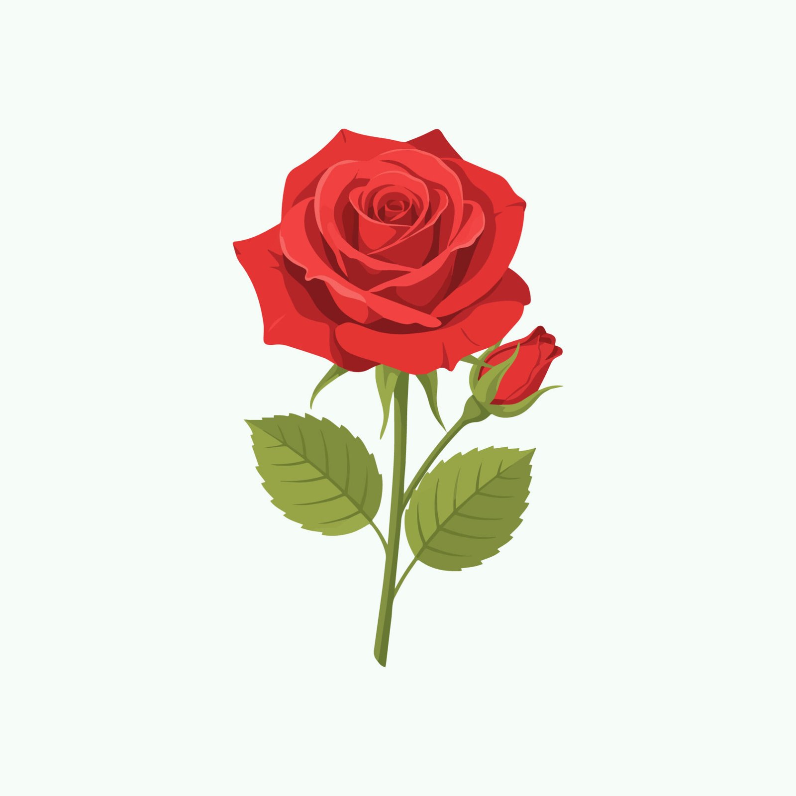 beautiful-red-rose-flower-with-bud-vector-illustration-isolated