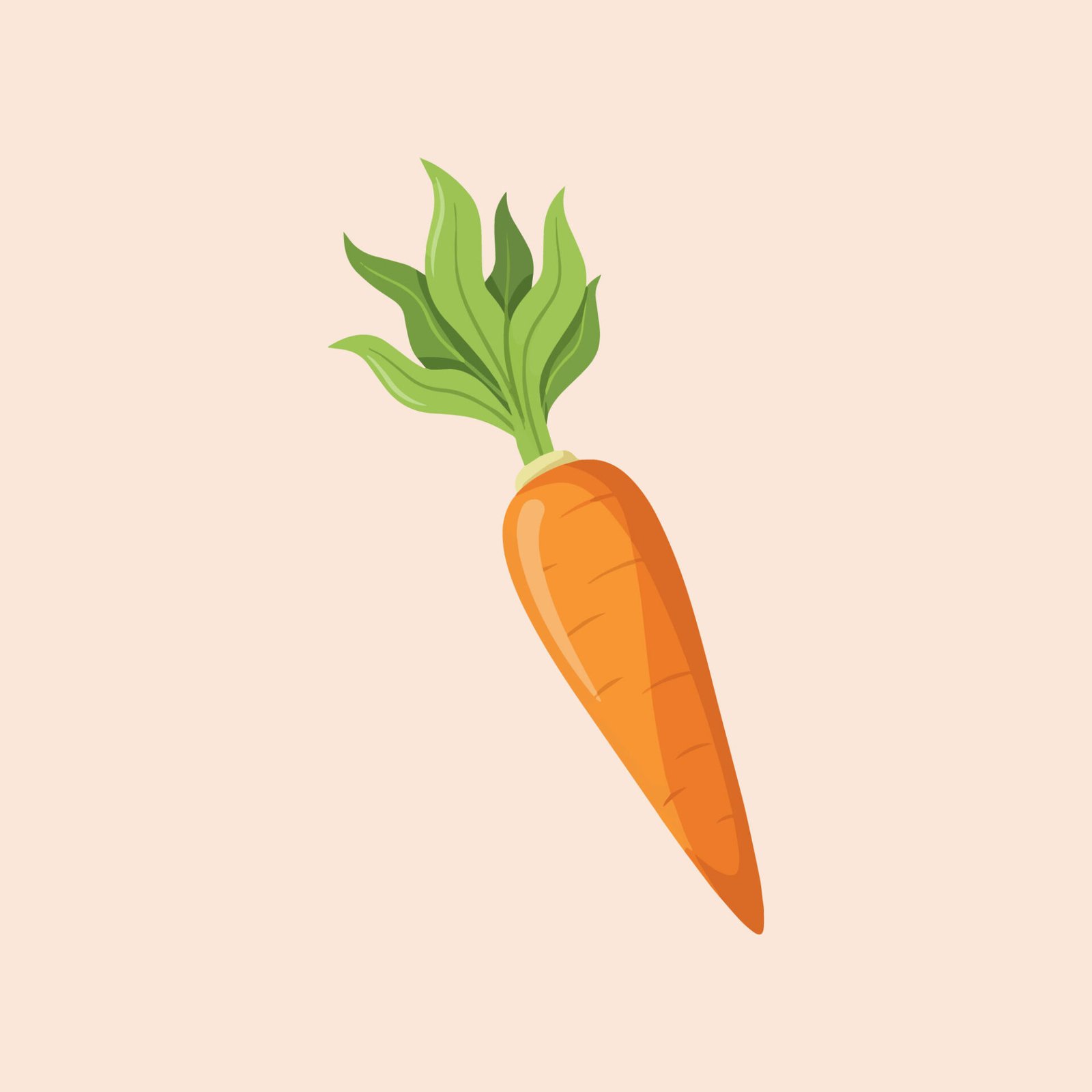 fresh-orange-carrot-with-green-leaves-vector-illustration
