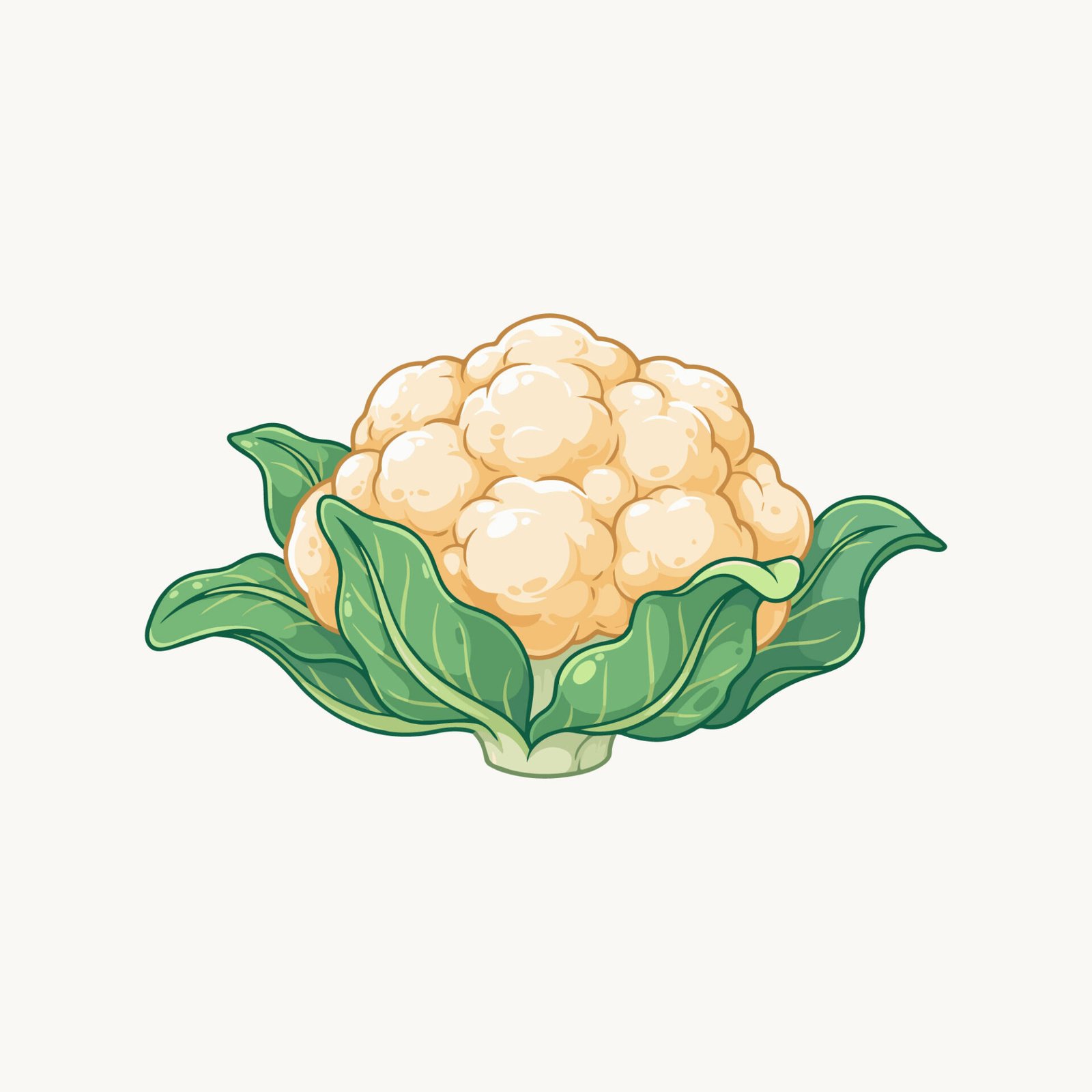 free-vector-fresh-cauliflower-vegetable-illustration