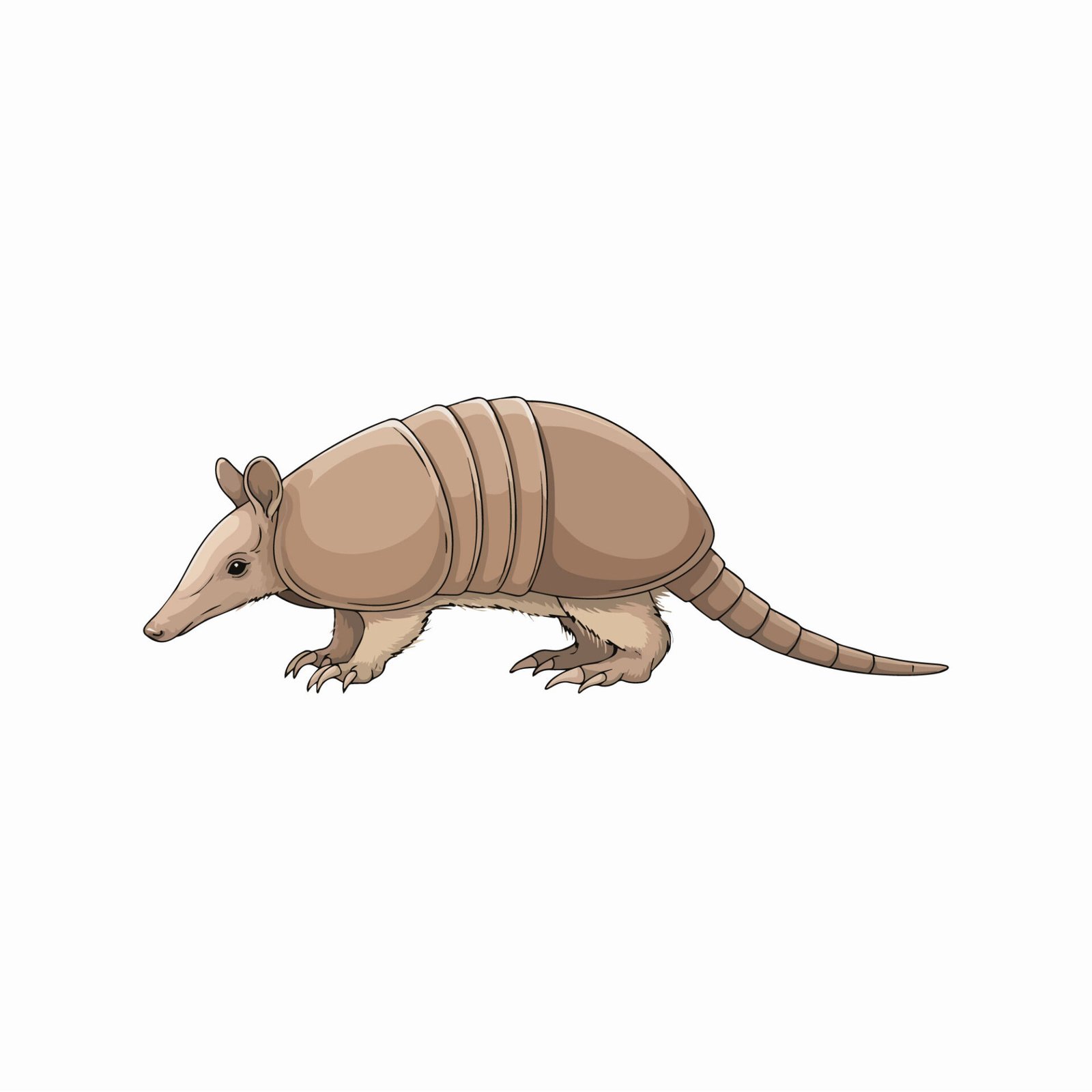 cute-cartoon-armadillo-animal-vector-illustration