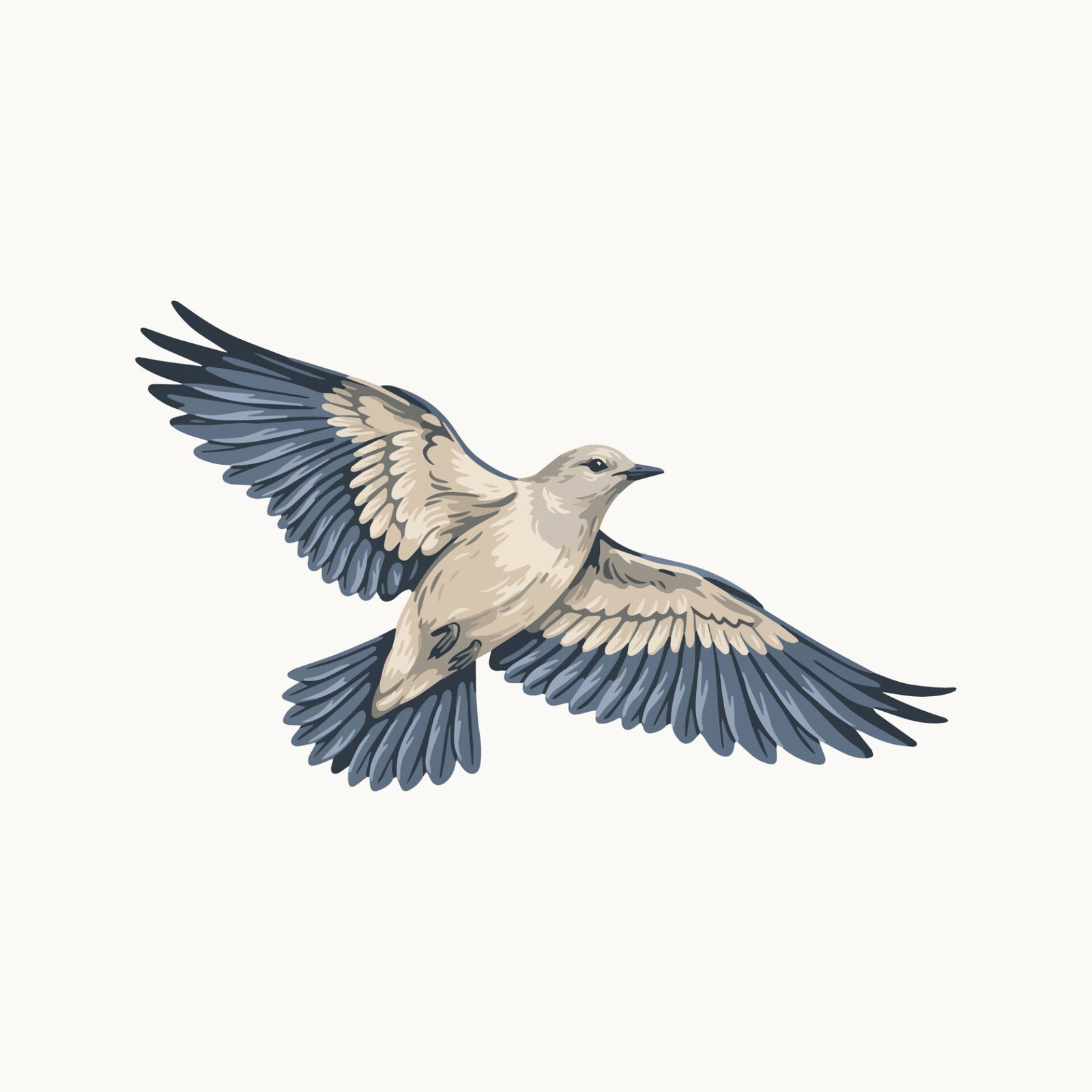 flying-bird-animal-vector-illustration