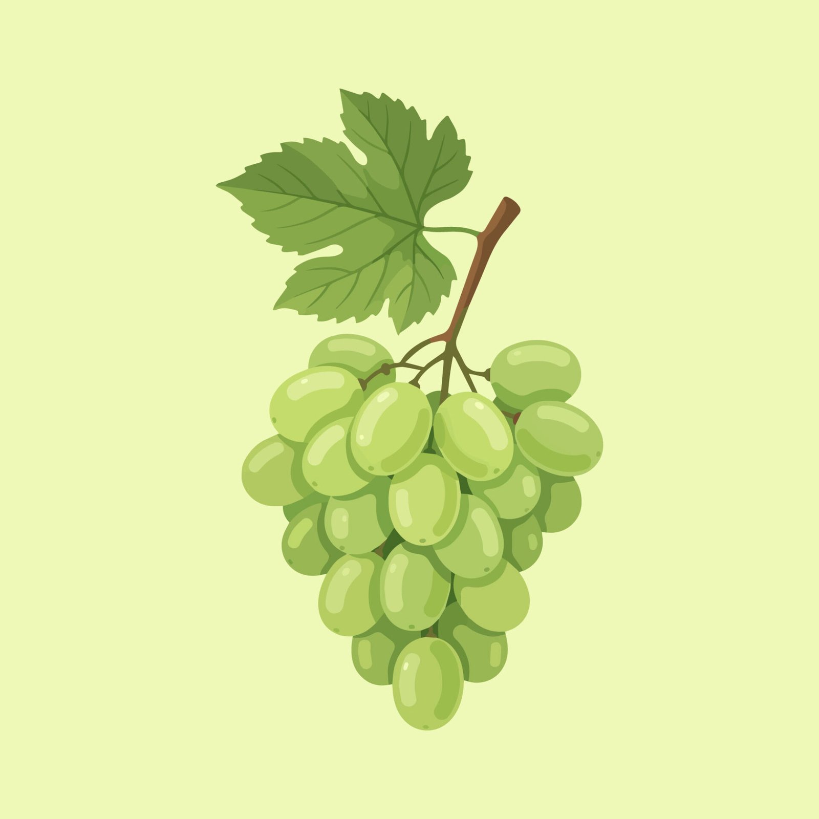 fresh-green-grapes-bunch-vector-illustration