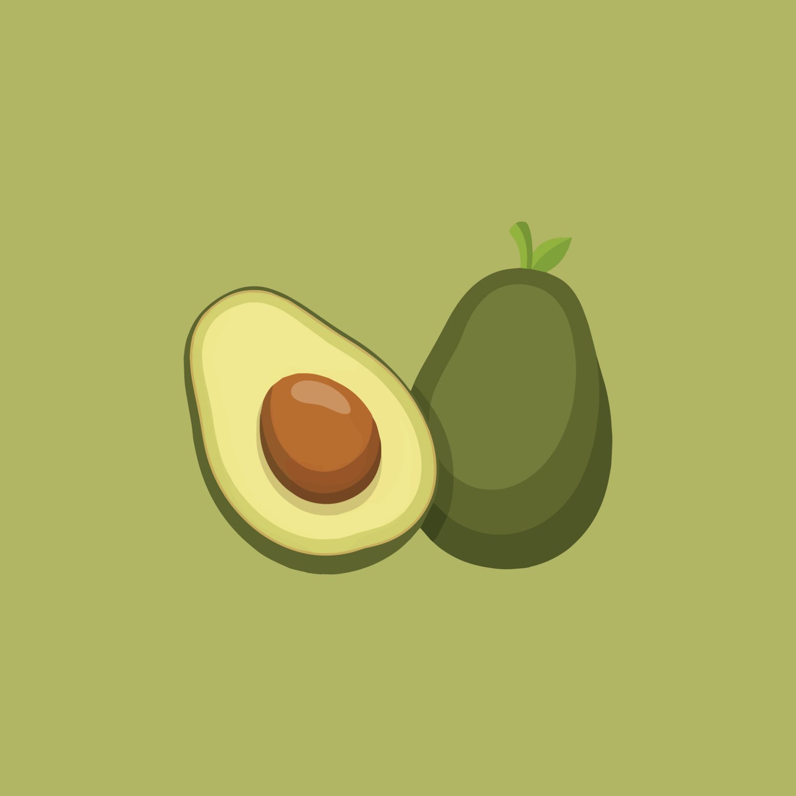 fresh-avocado-fruit-vector-illustration