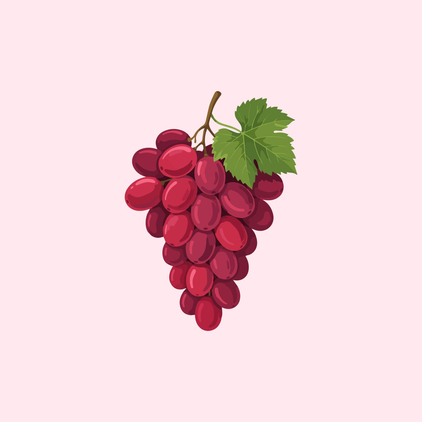 fresh-red-grapes-bunch-vector-illustration