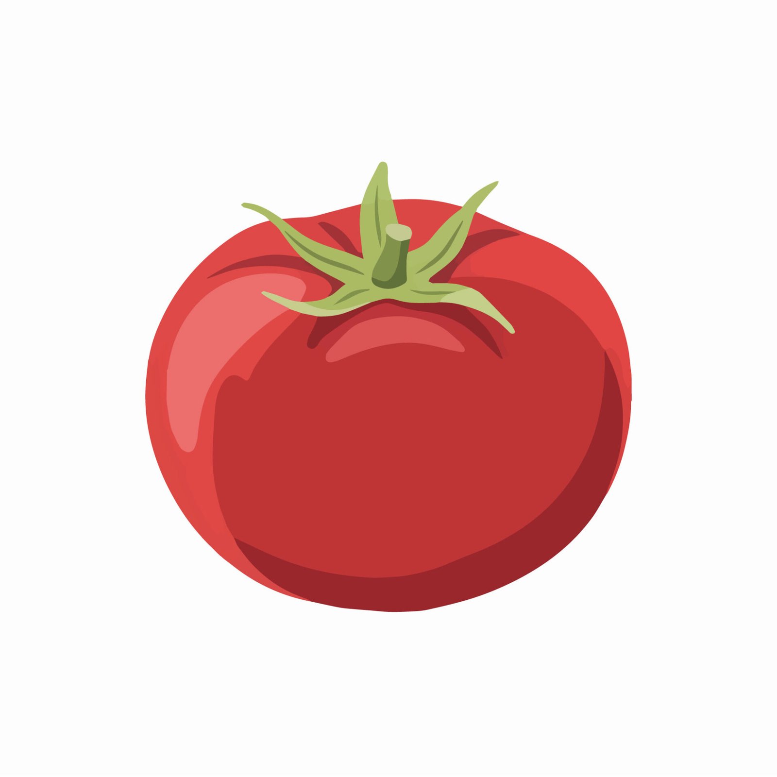 ripe-red-tomato-vector-illustration-on-white-background