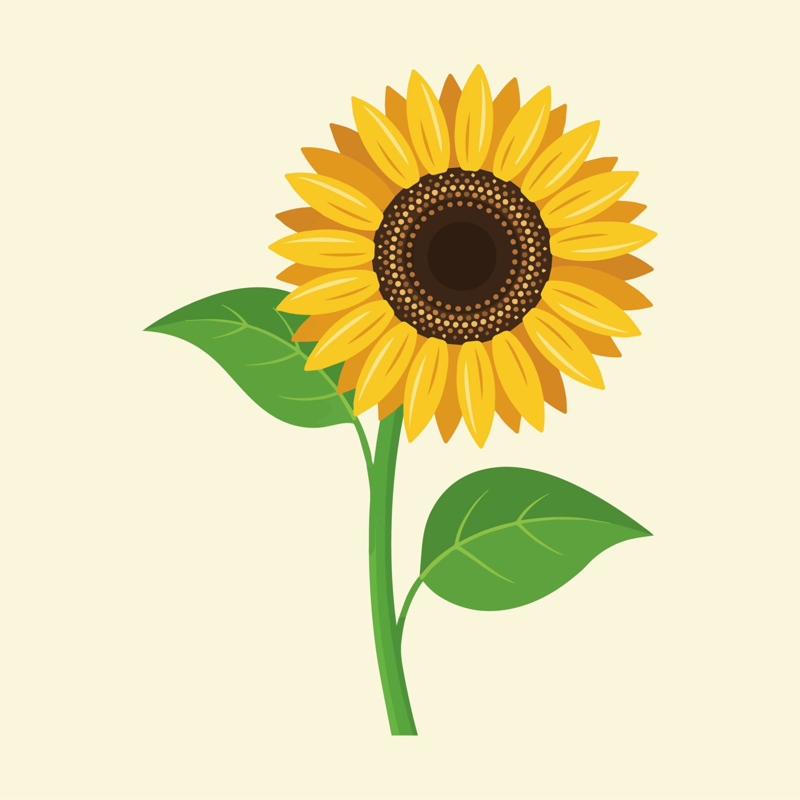 blooming-yellow-sunflower-vector-illustration-isolated