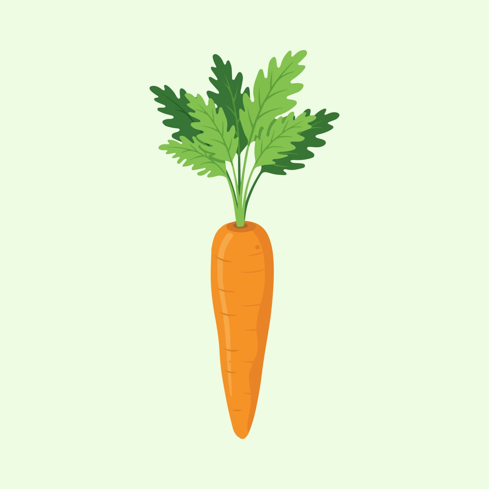minimalist-carrot-vector-illustration-with-green-leaves
