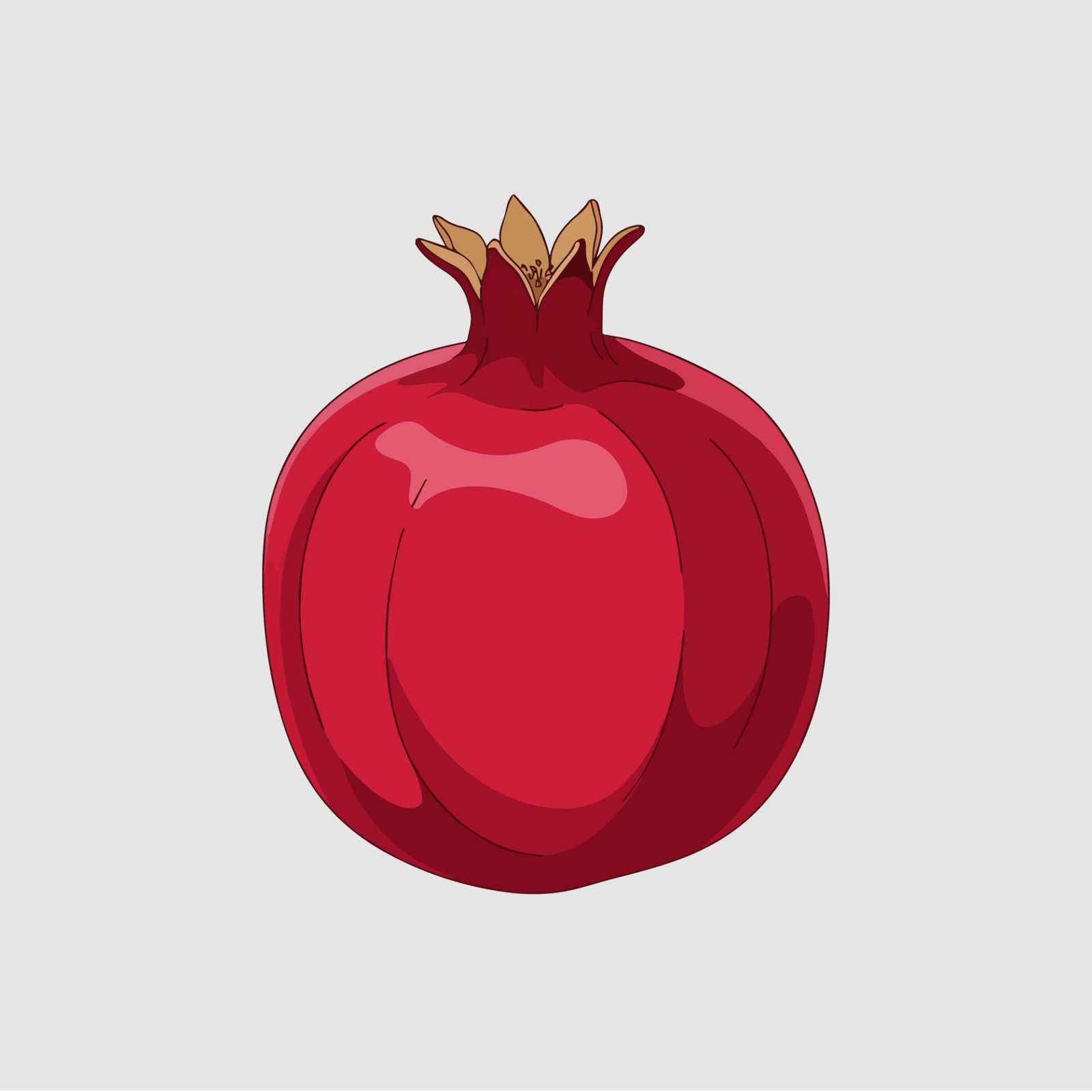 realistic-pomegranate-vector-illustration-ripe-red-fruit-graphic-icon