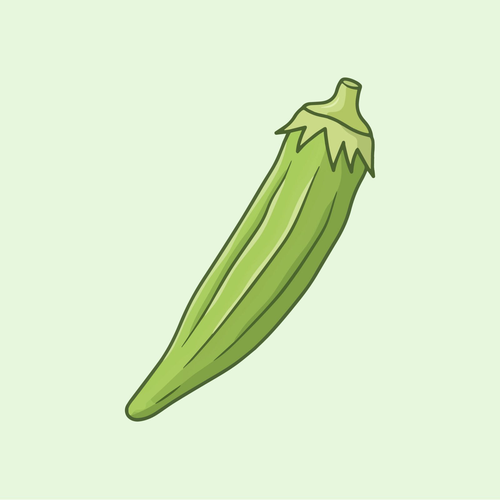 fresh-green-okra-ladyfinger-vector-illustration