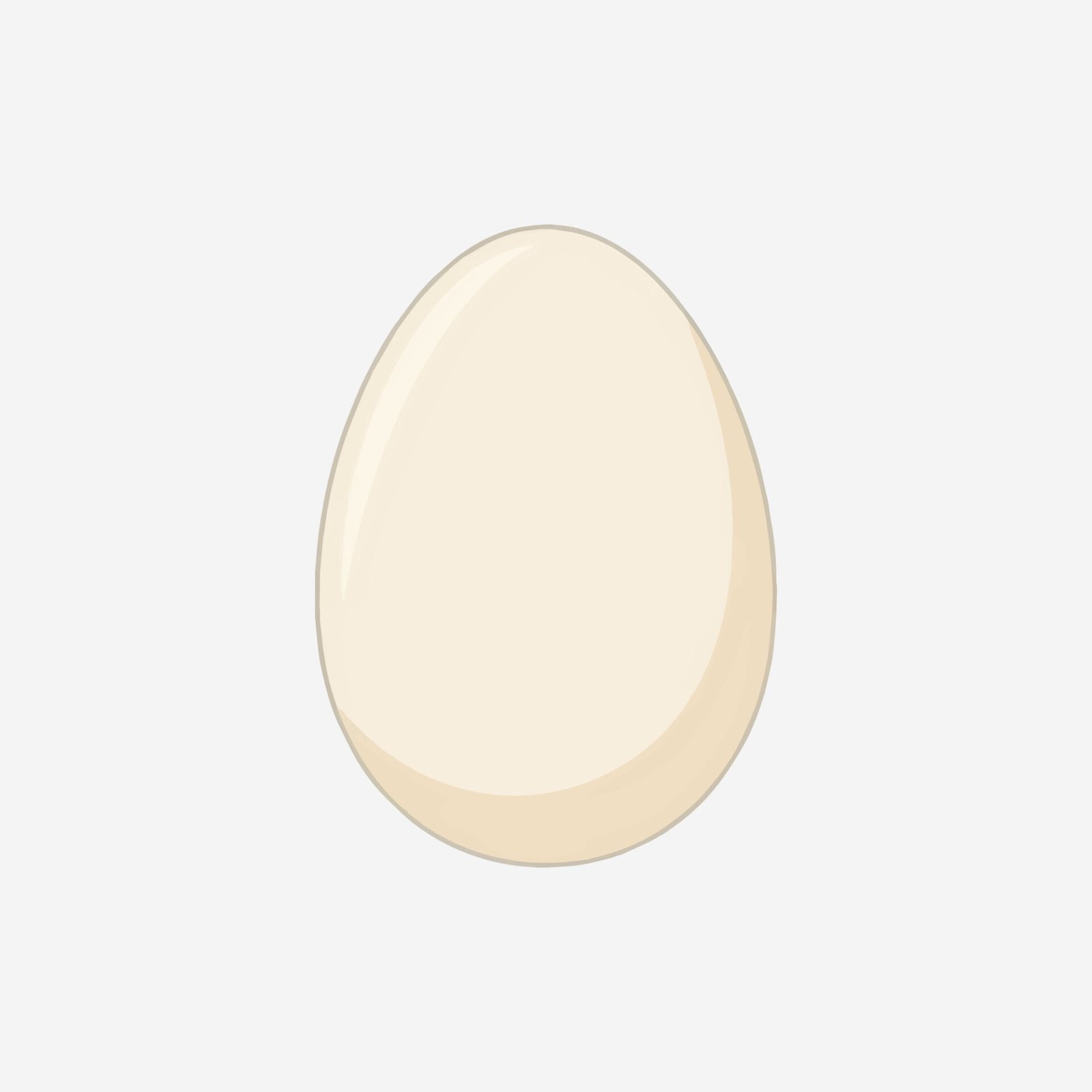 whole-chicken-egg-vector-illustration