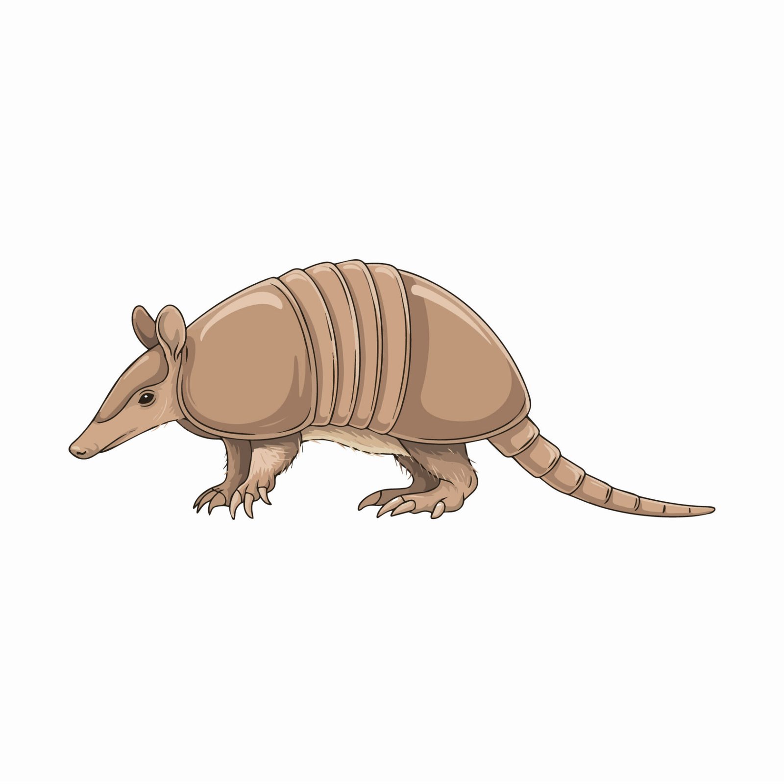 cute-cartoon-armadillo-animal-vector-illustration