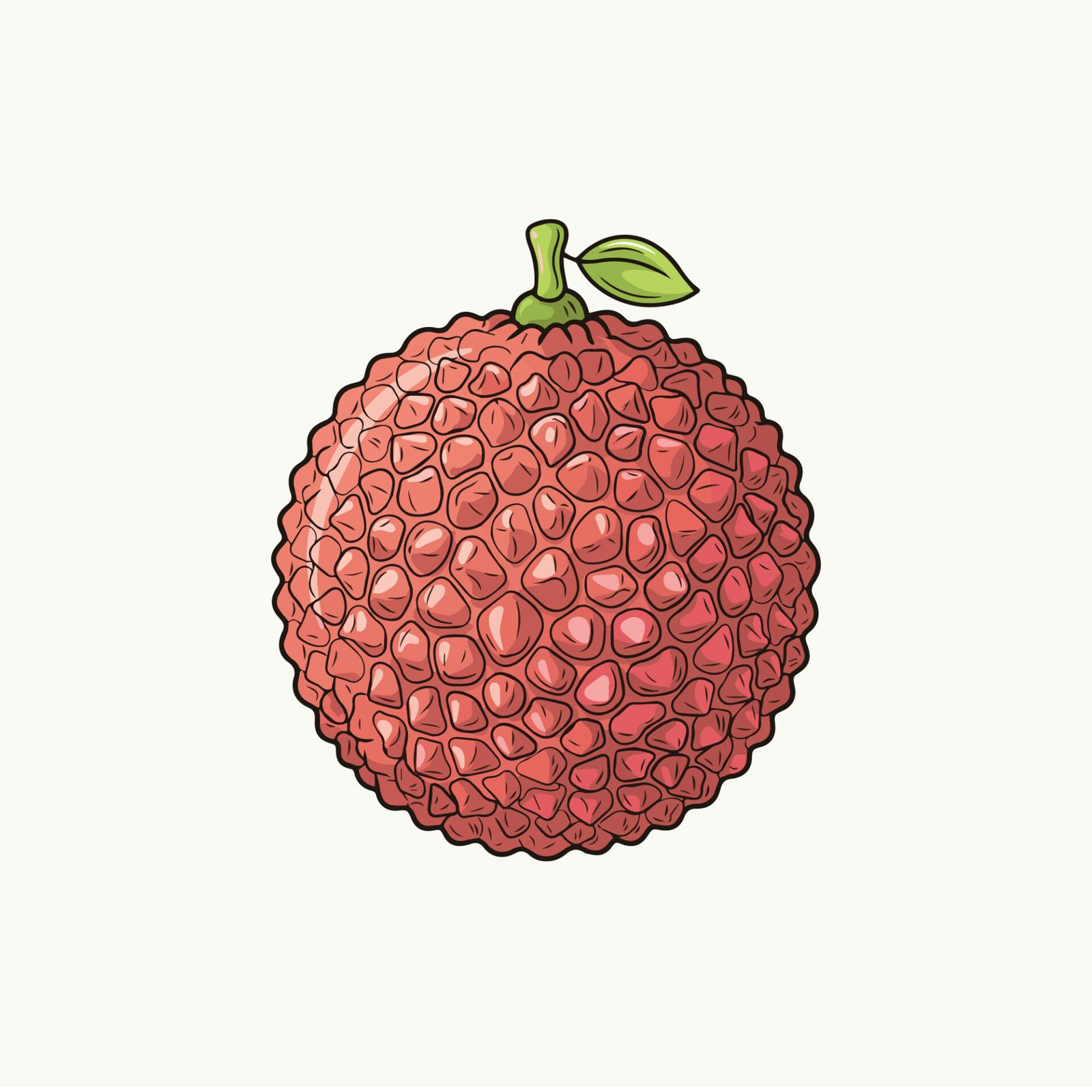 fresh-lychee-fruit-vector-illustration