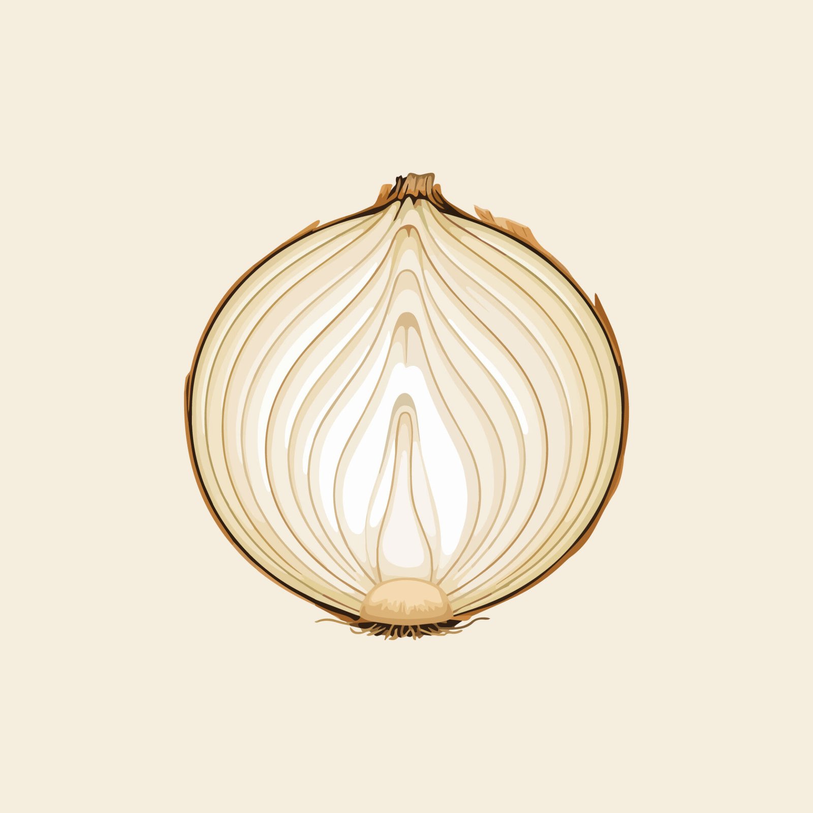 half-cut-yellow-onion-slice-vector-illustration