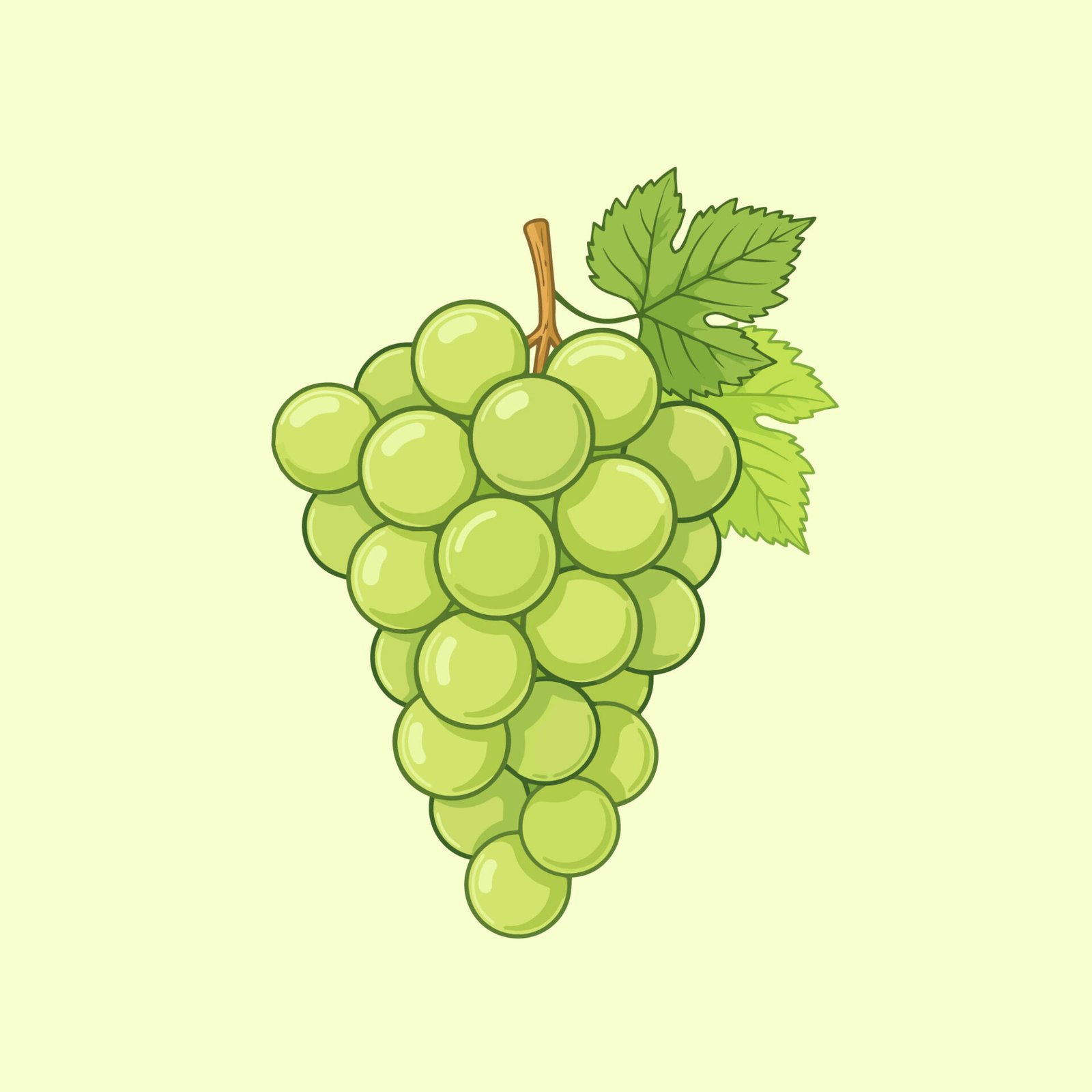 bunch-of-fresh-green-grapes-vector-illustration-isolated