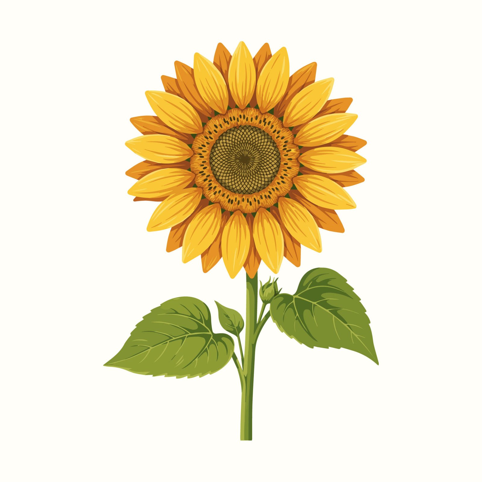 yellow-sunflower-with-green-stem-and-leaves-vector-illustration
