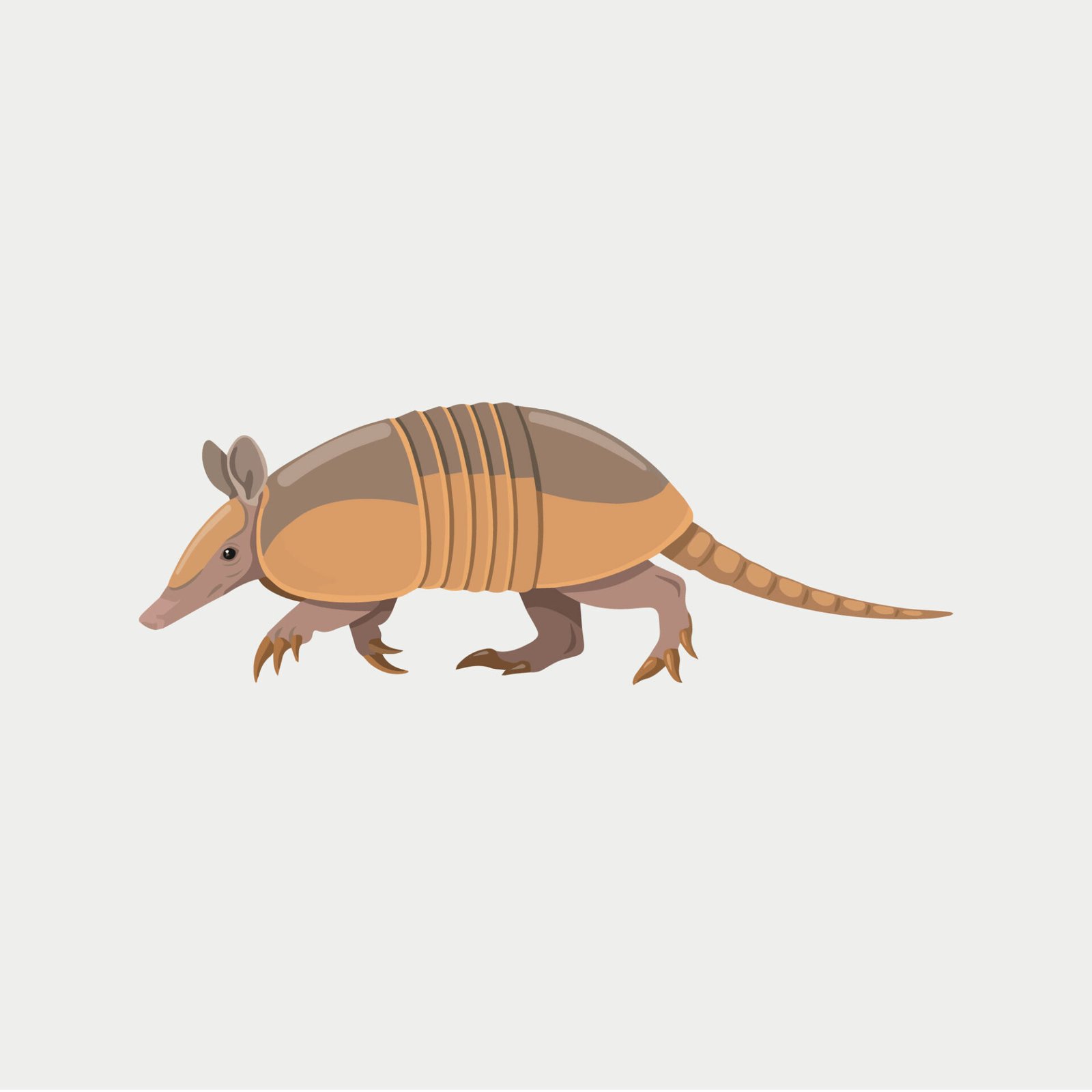 cute-cartoon-cute-cartoon-armadillo-animal-vector-illustrationanimal-vector-illustration