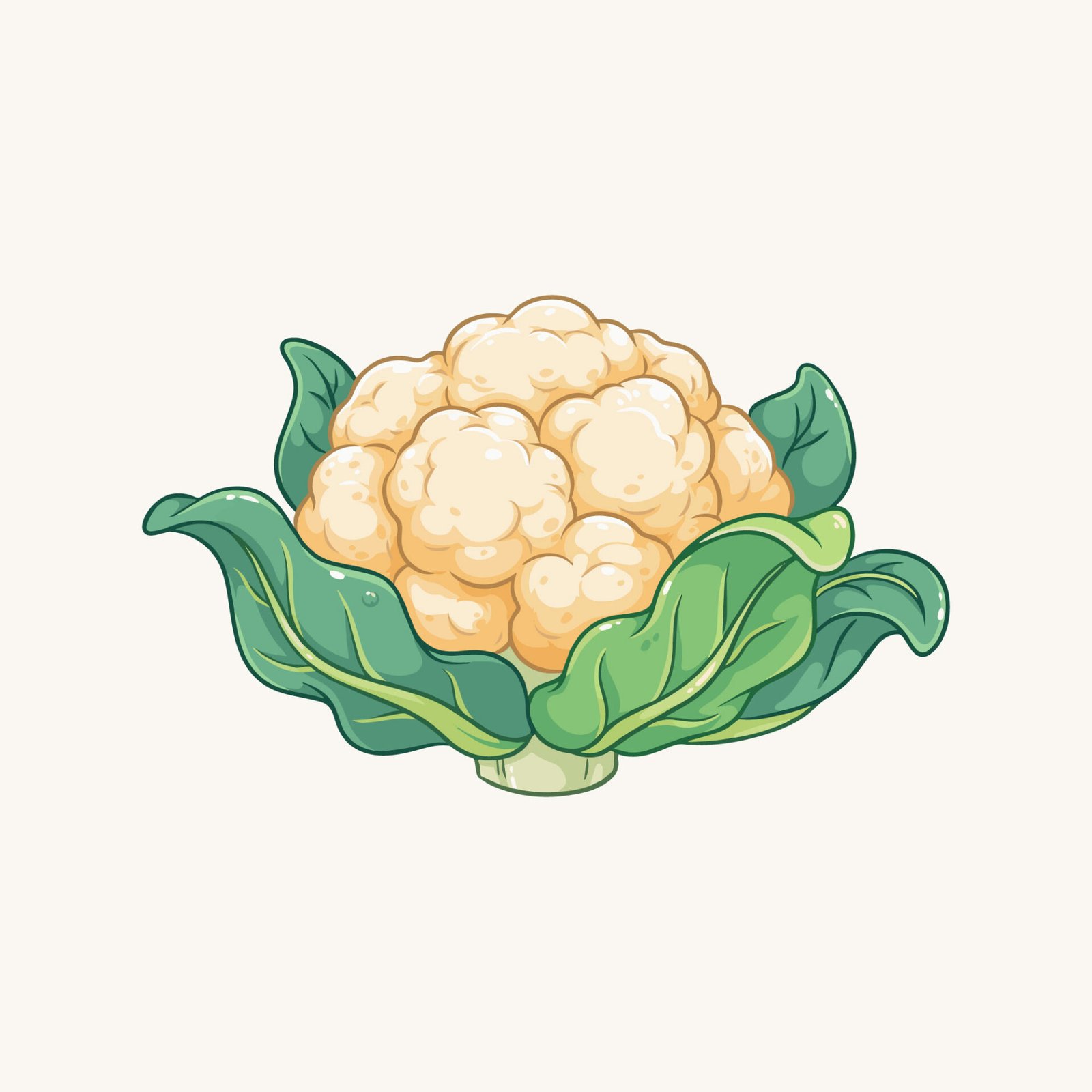 free-vector-cauliflower-vegetable-hand-drawn-style