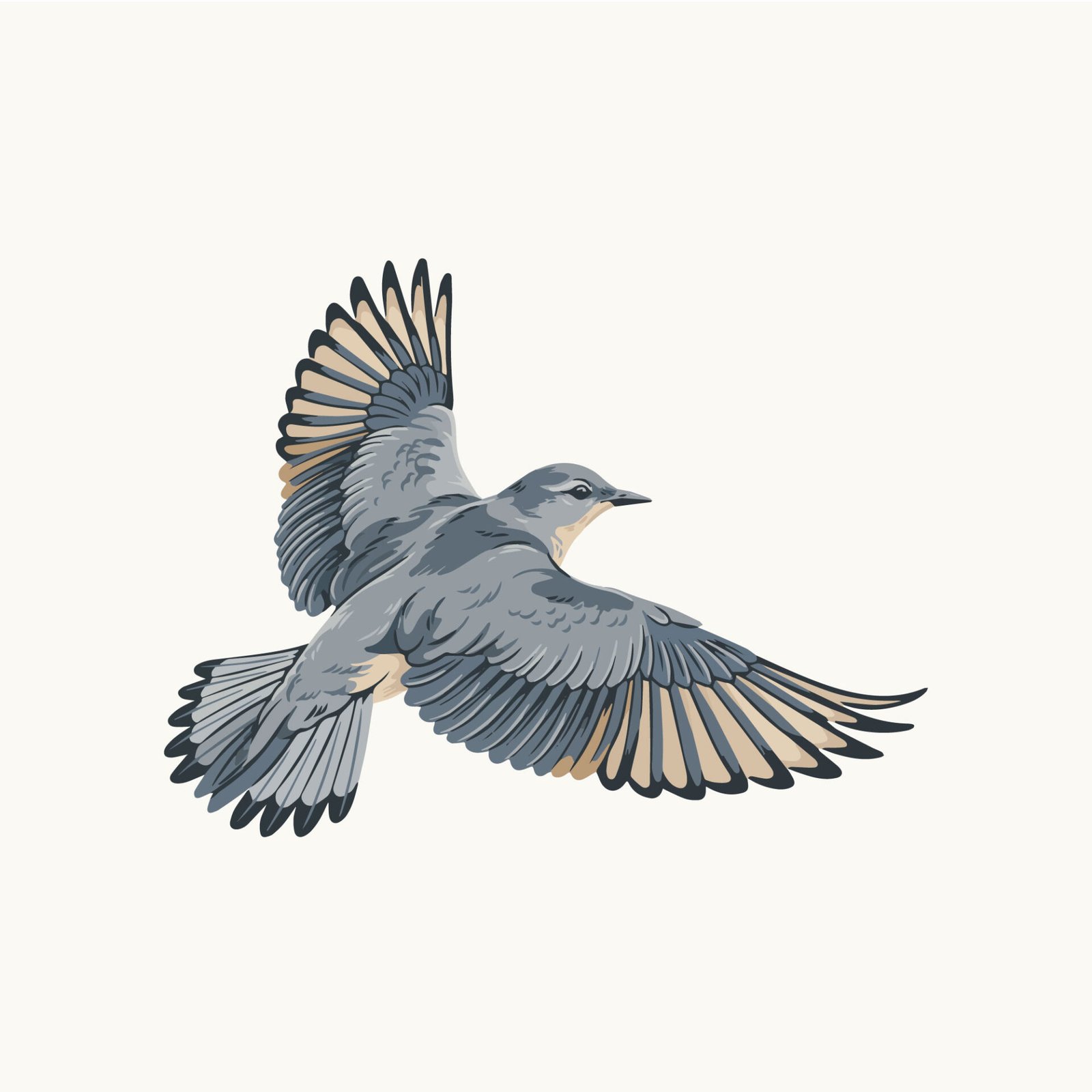 flying-bird-animal-vector-illustration
