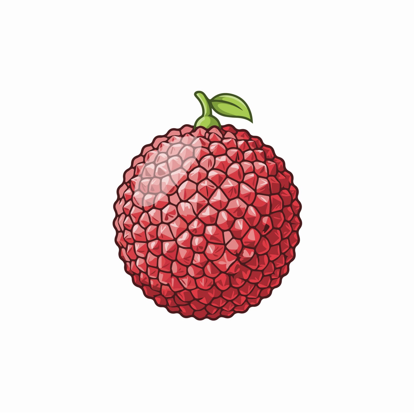 fresh-lychee-fruit-vector-illustration
