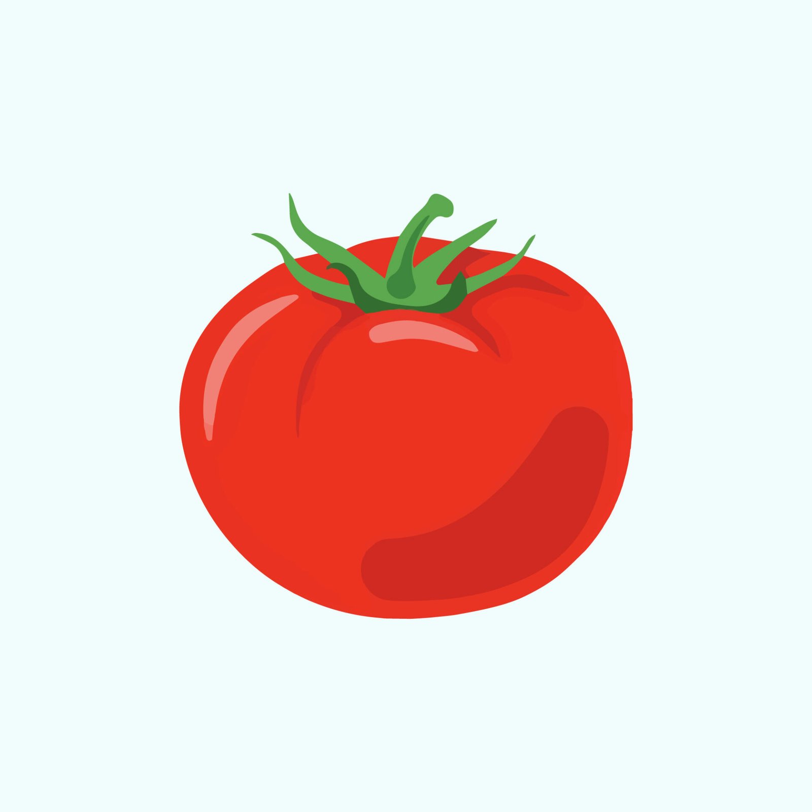 whole-fresh-red-tomato-vector-illustration-isolated