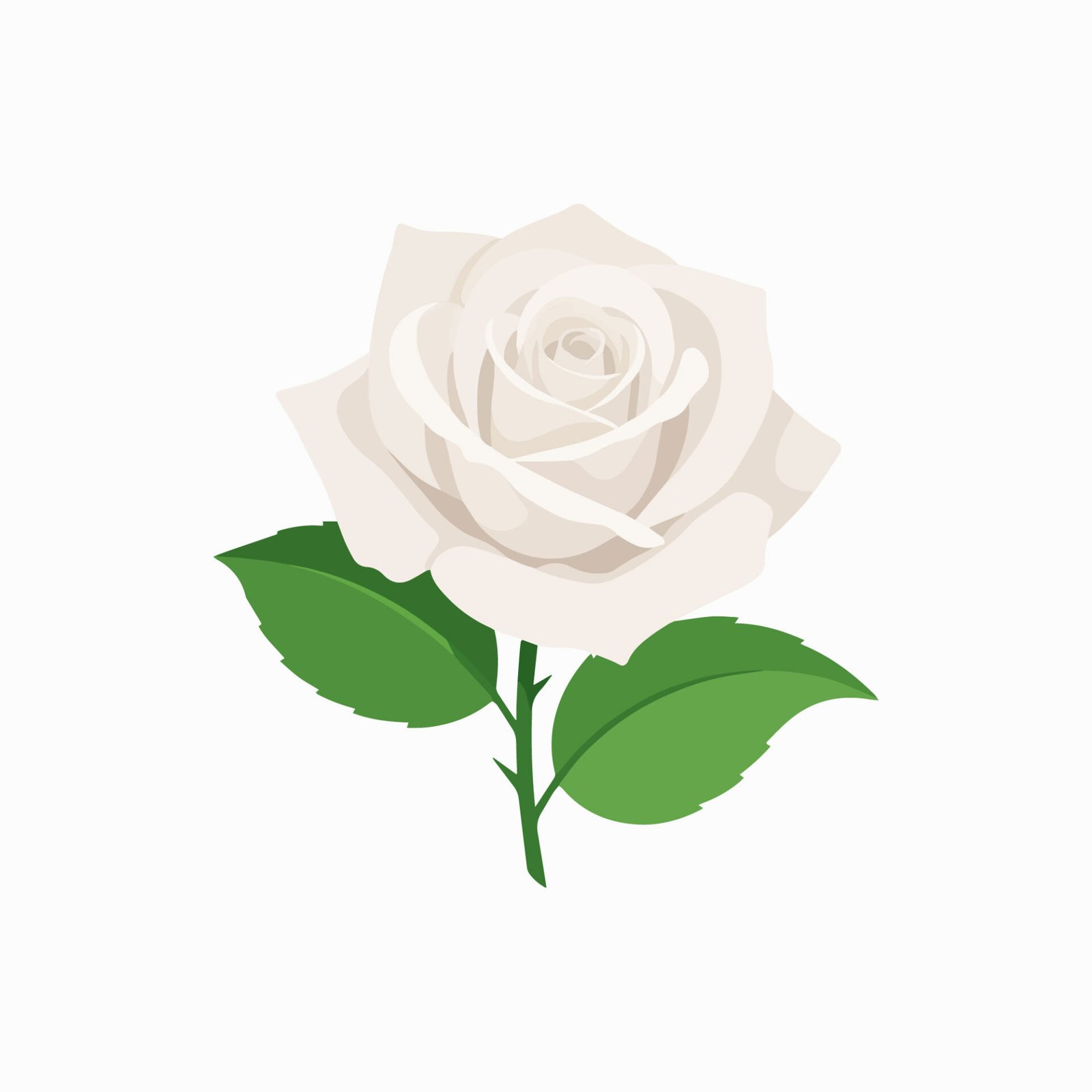 beautiful-white-rose-flower-vector-illustration-isolated-on-white-background