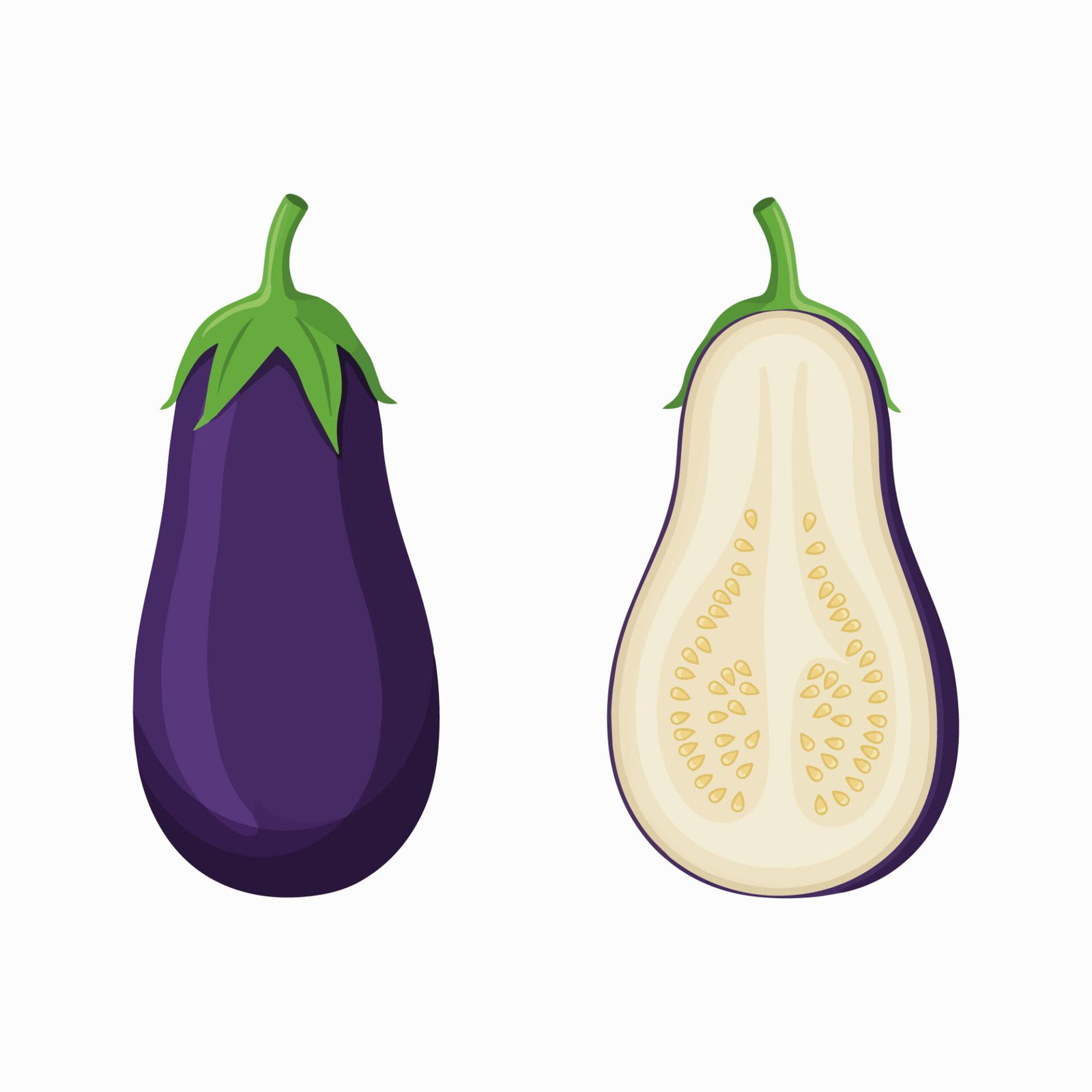 whole-and-sliced-purple-eggplant-vegetable-vector-set