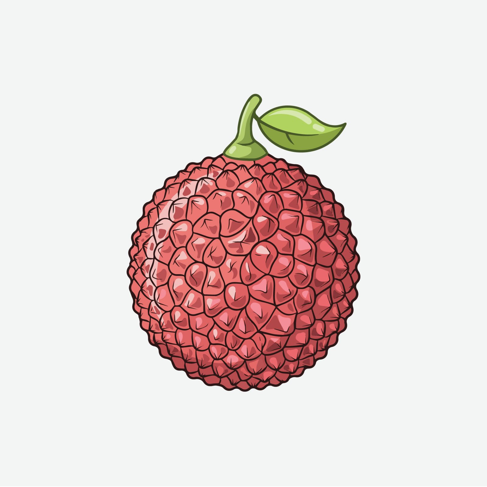 single-whole-asian-lychee-fruit-with-green-leaf-flat-vector