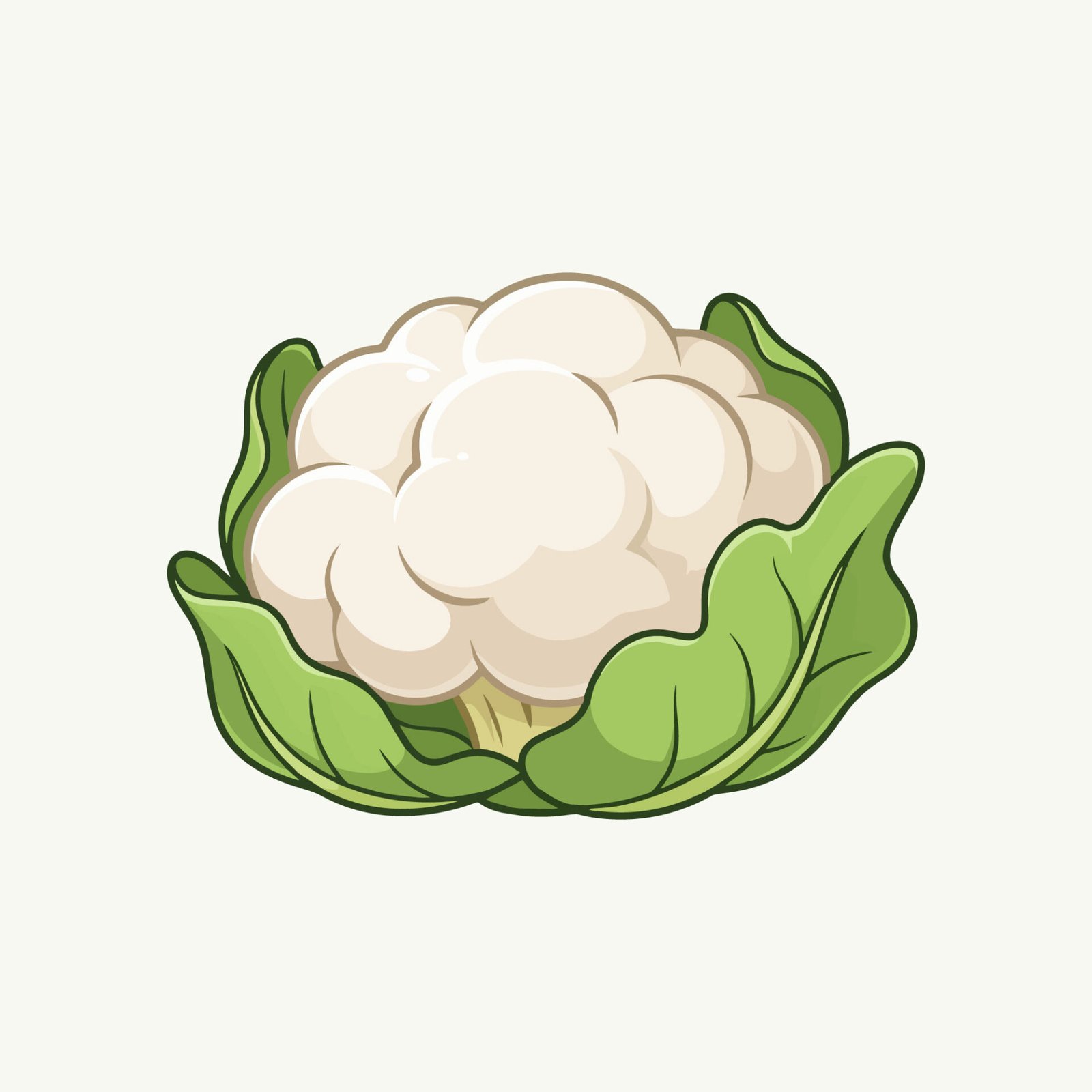 free-minimalist-cauliflower-head-with-green-leaves