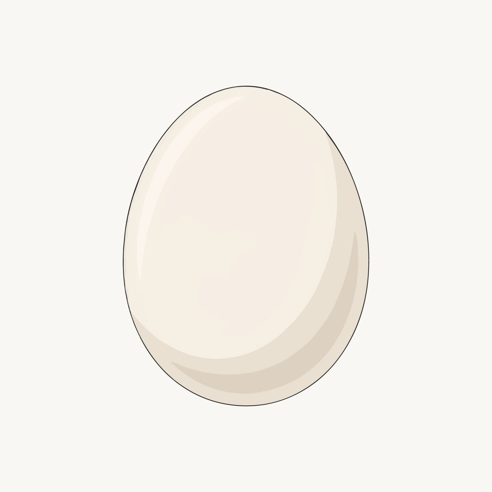 white-whole-egg-vector-illustration