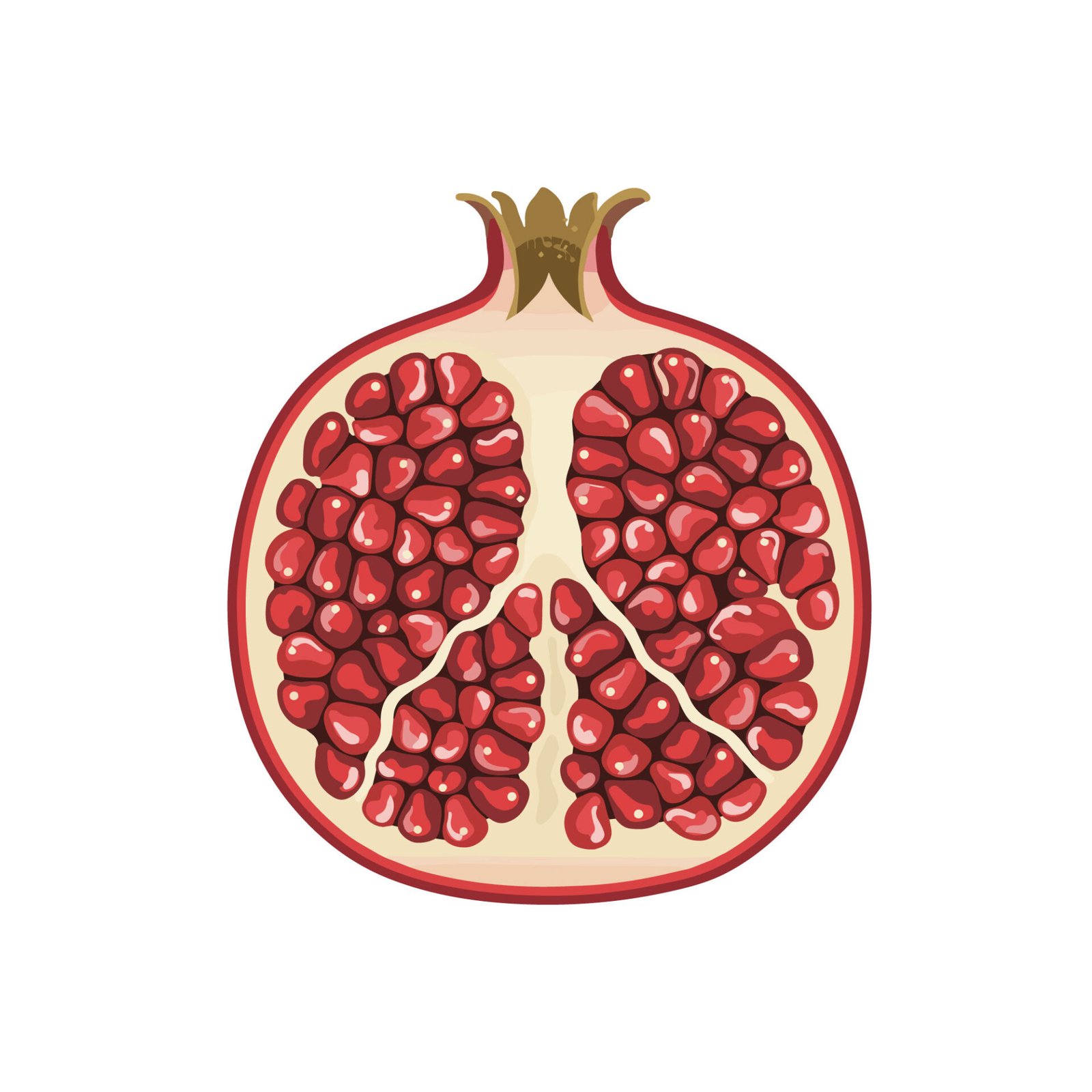 fresh-cut-pomegranate-vector-illustration