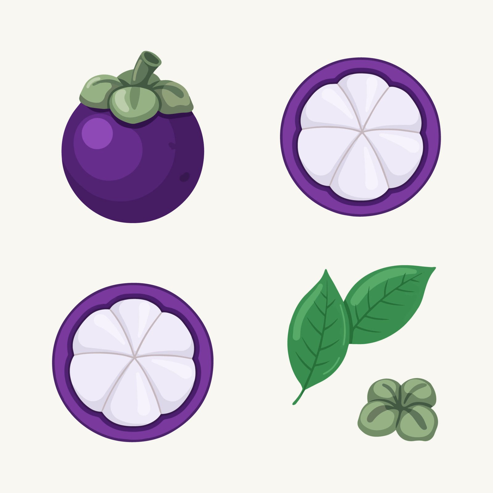 fresh-mangosteen-fruit-set-vector-illustration