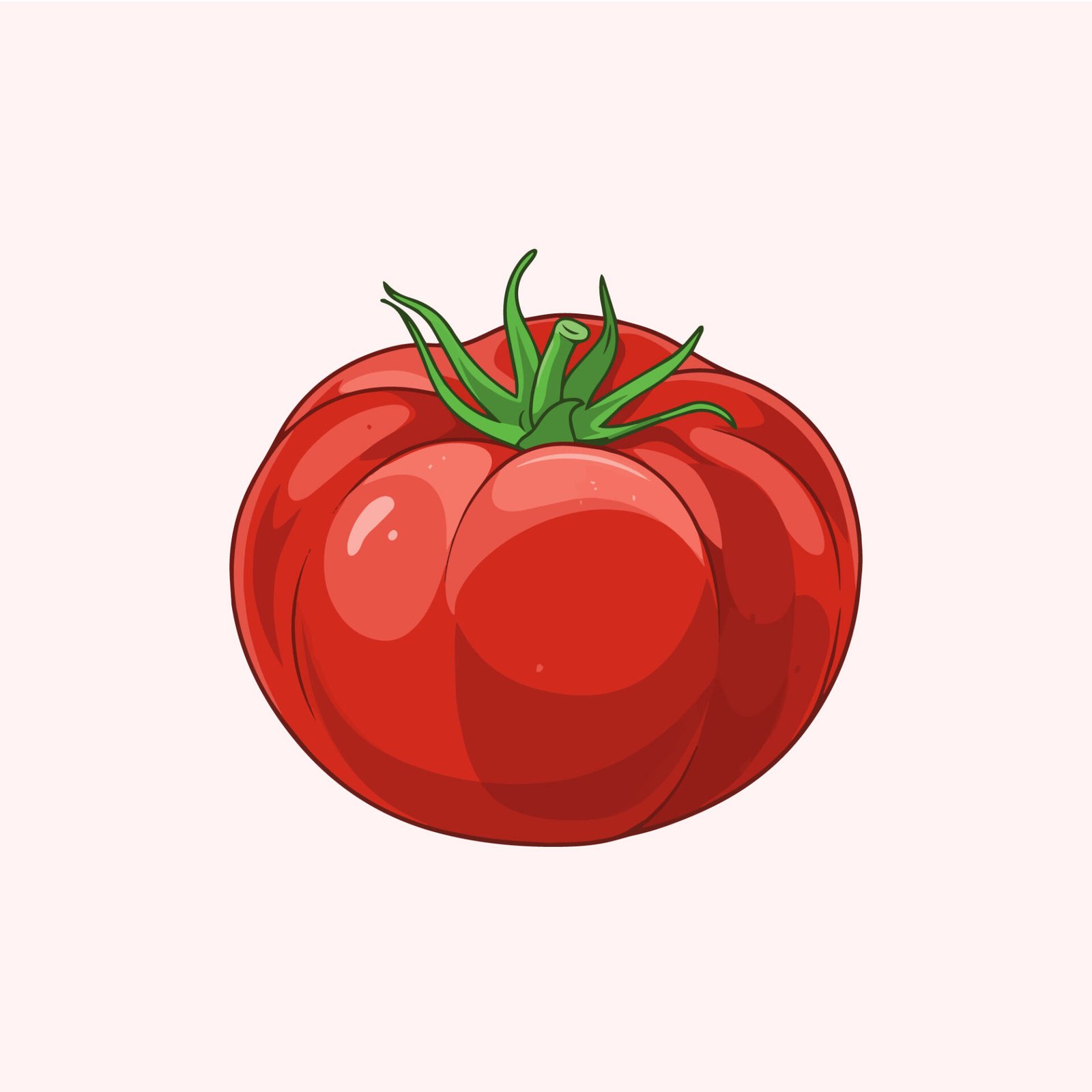 detailed-red-tomato-vector-illustration-isolated