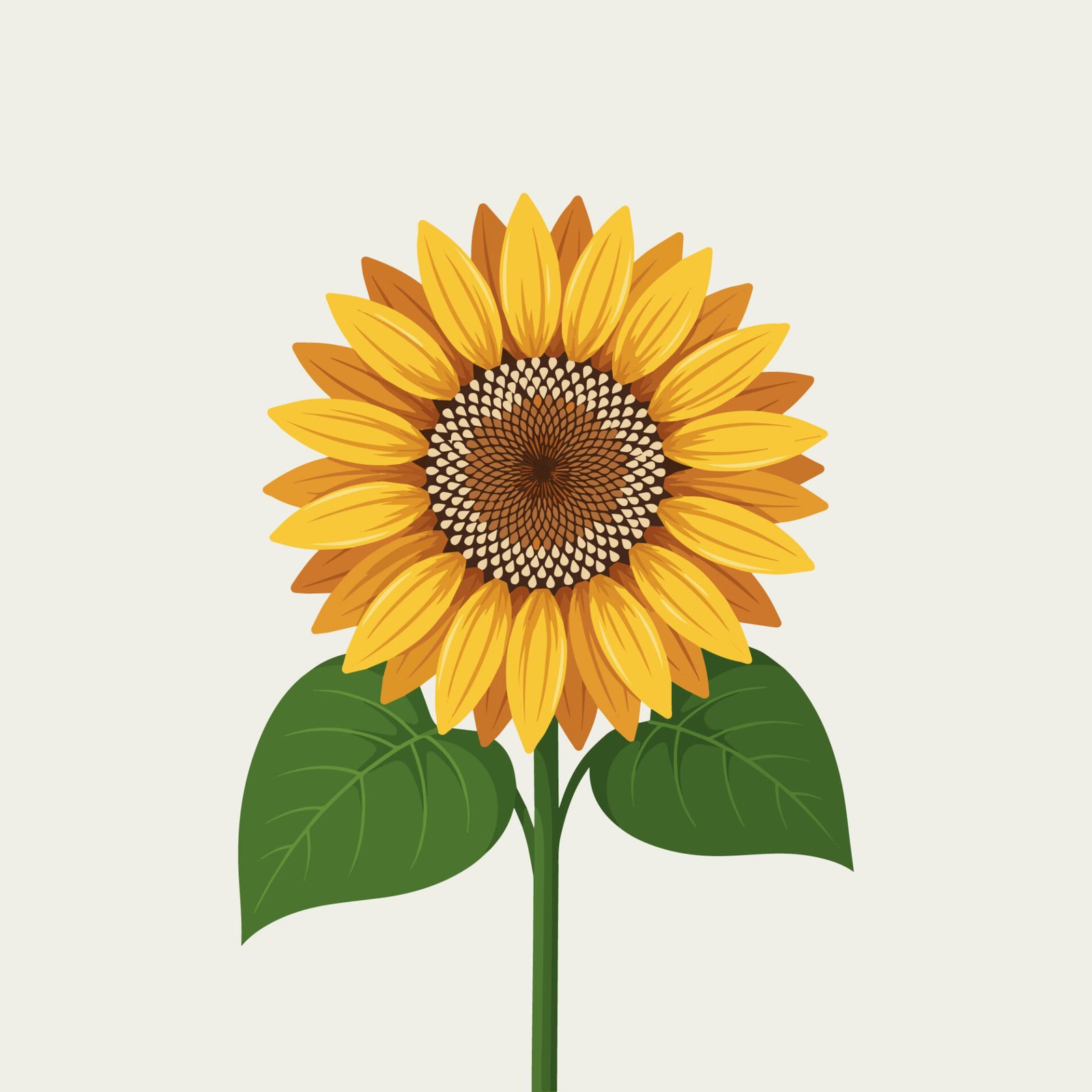 beautiful-yellow-sunflower-bloom-vector-illustration-with-stem-and-leaves