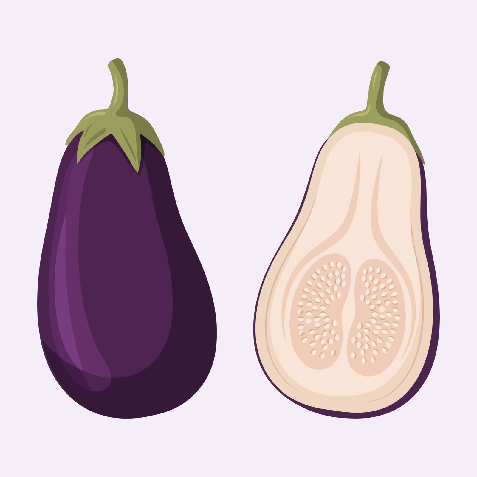 fresh-whole-and-half-sliced-eggplant-pair-vector-illustration