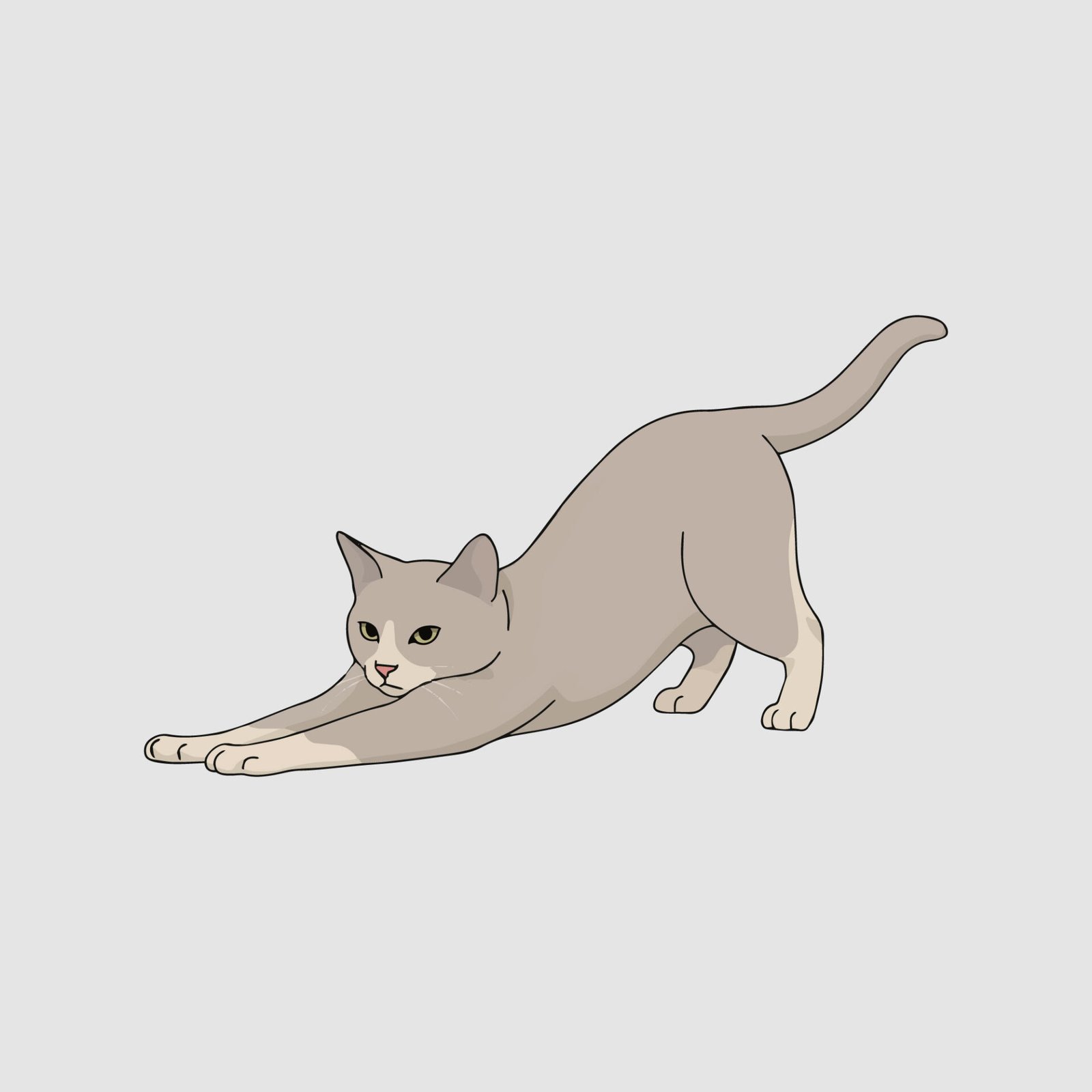 cute-cat-stretching-vector-illustration-minimalist-cartoon-feline
