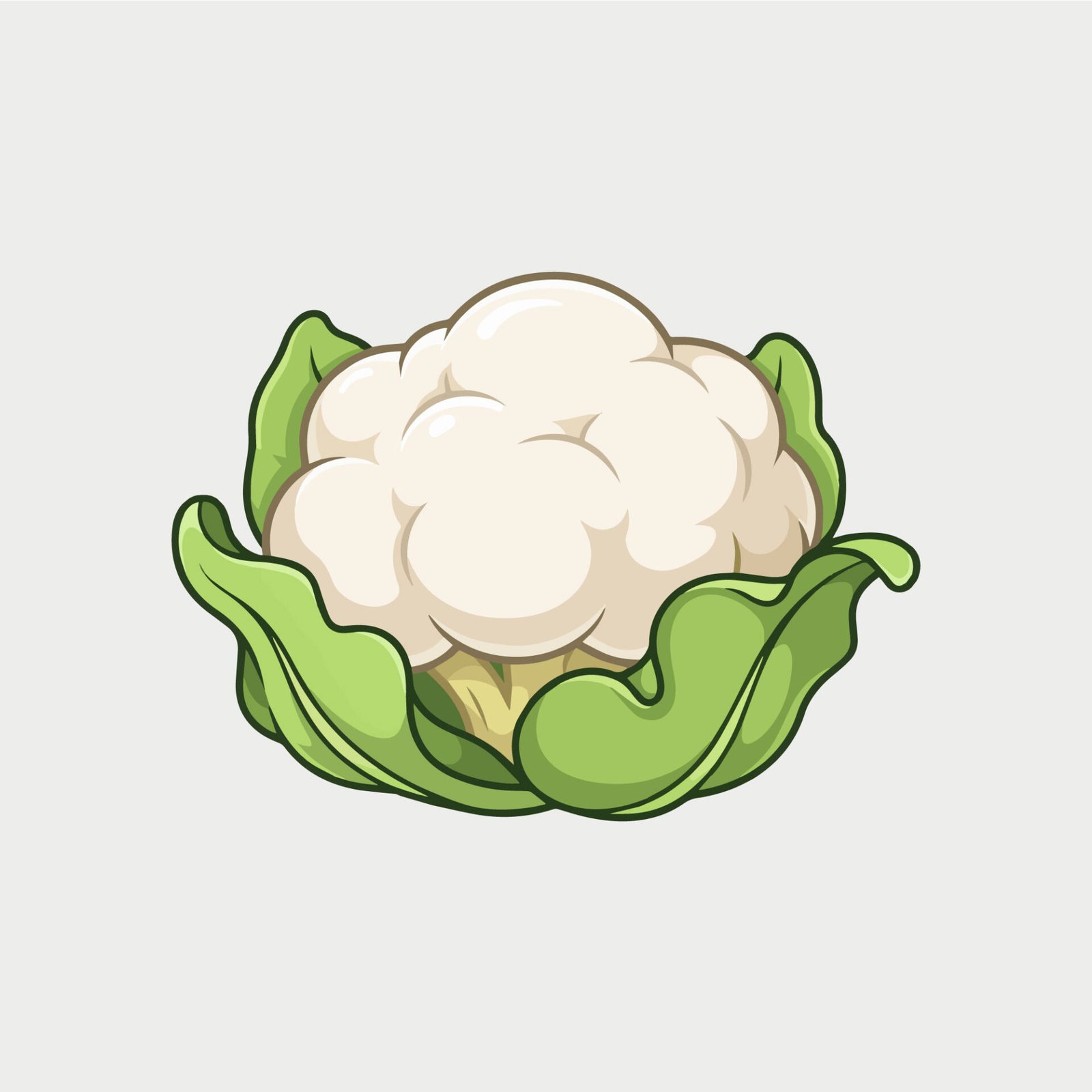 fresh-cauliflower-vegetable-isolated-vector-art